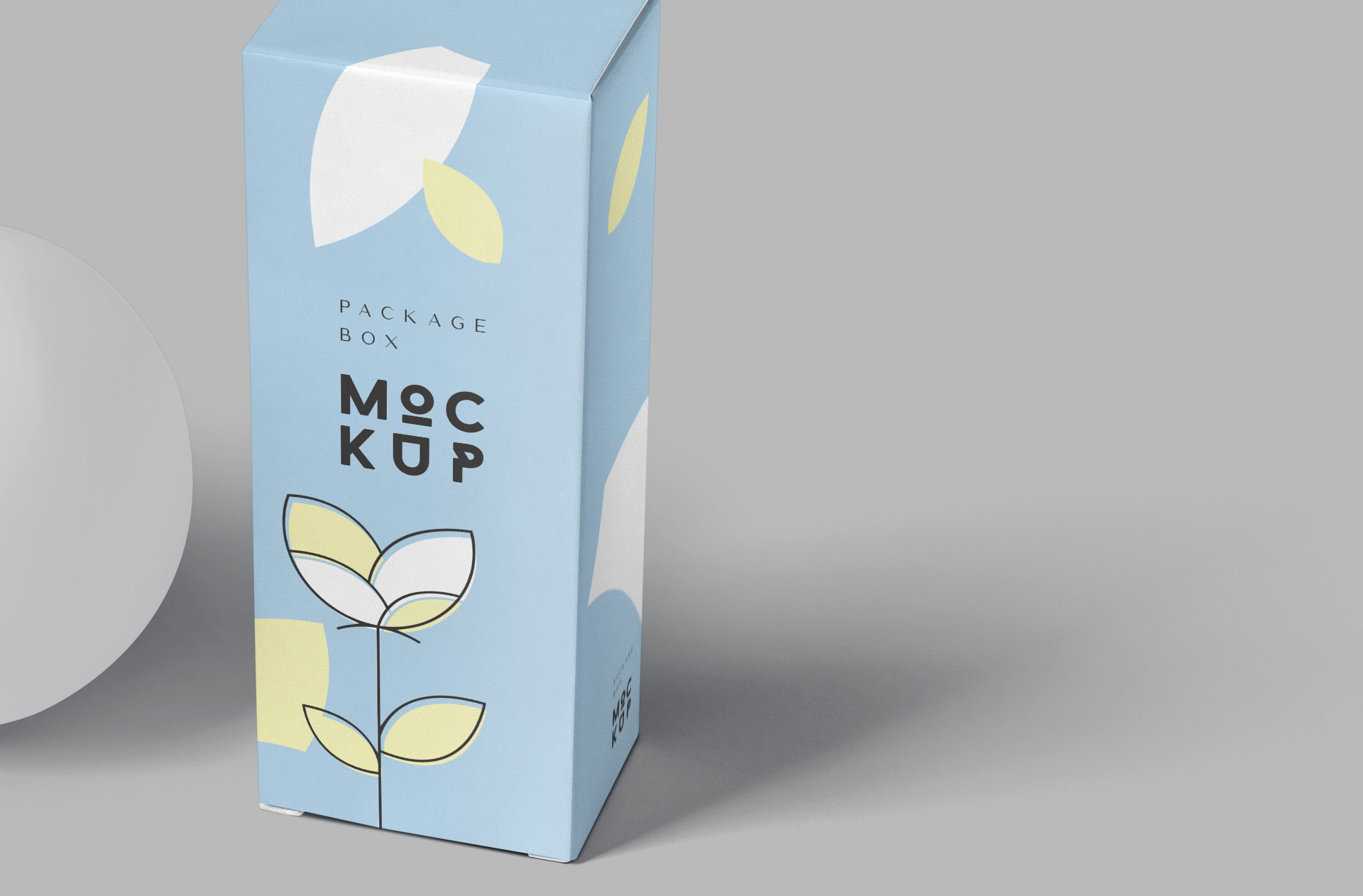 cardboard box mockup