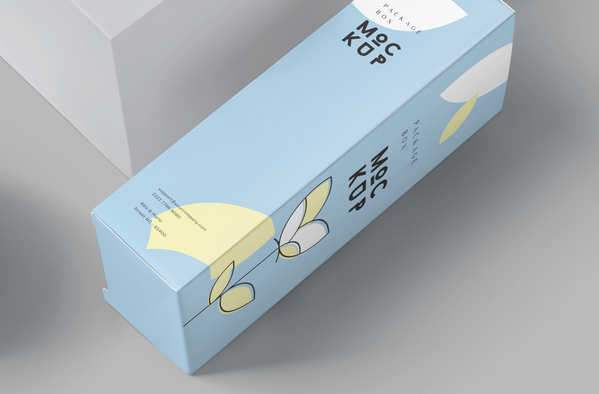 elegant packaging mockup