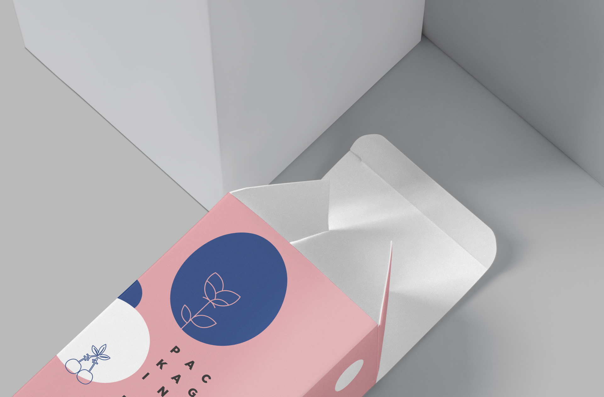 branding box PSD