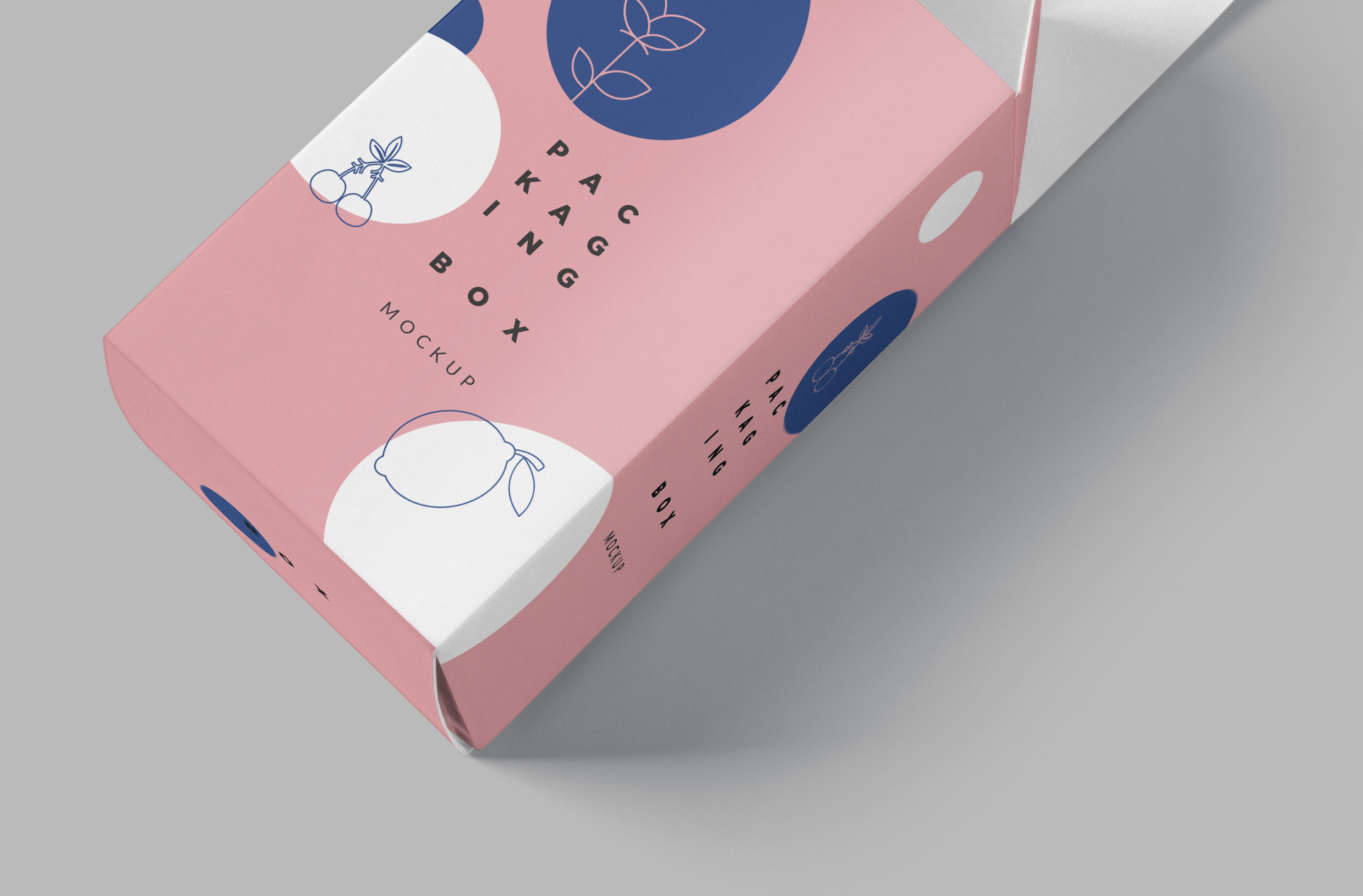 branding box PSD
