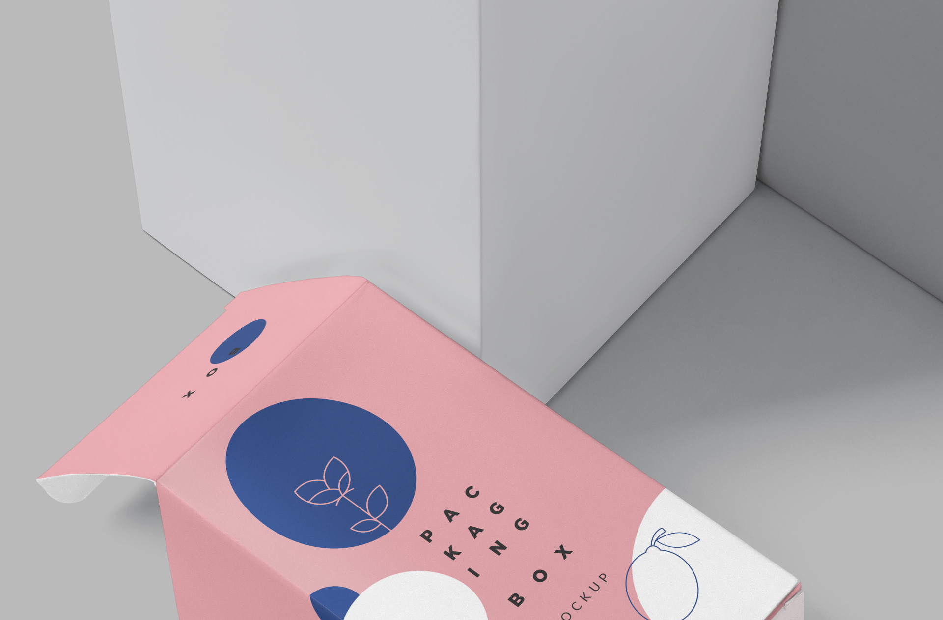 branding packaging PSD