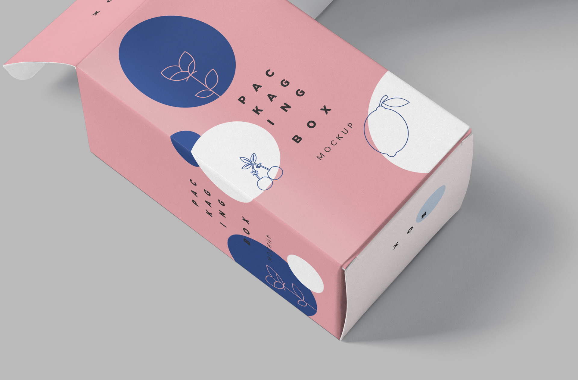 branding packaging PSD