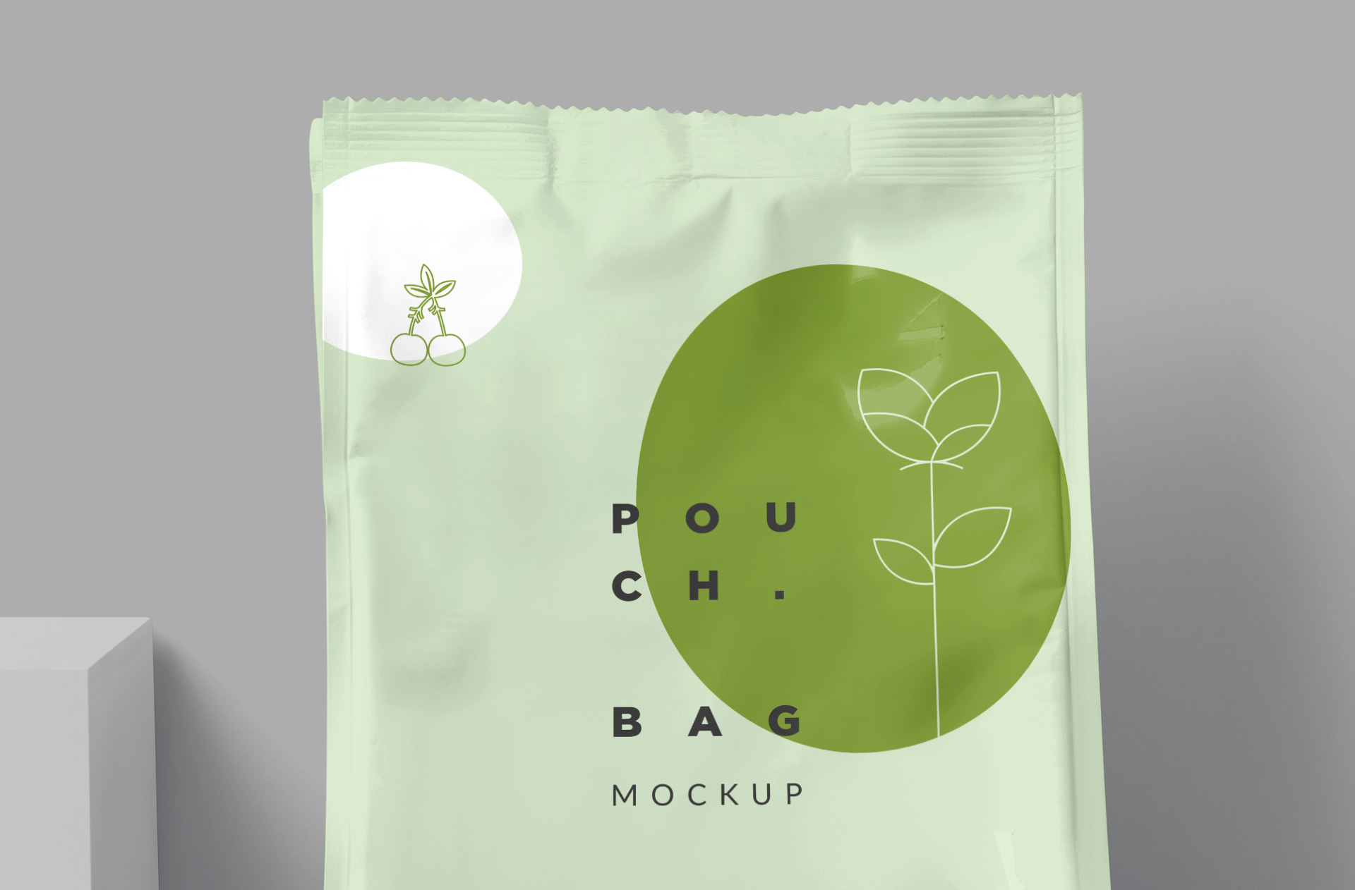 branding pouch template