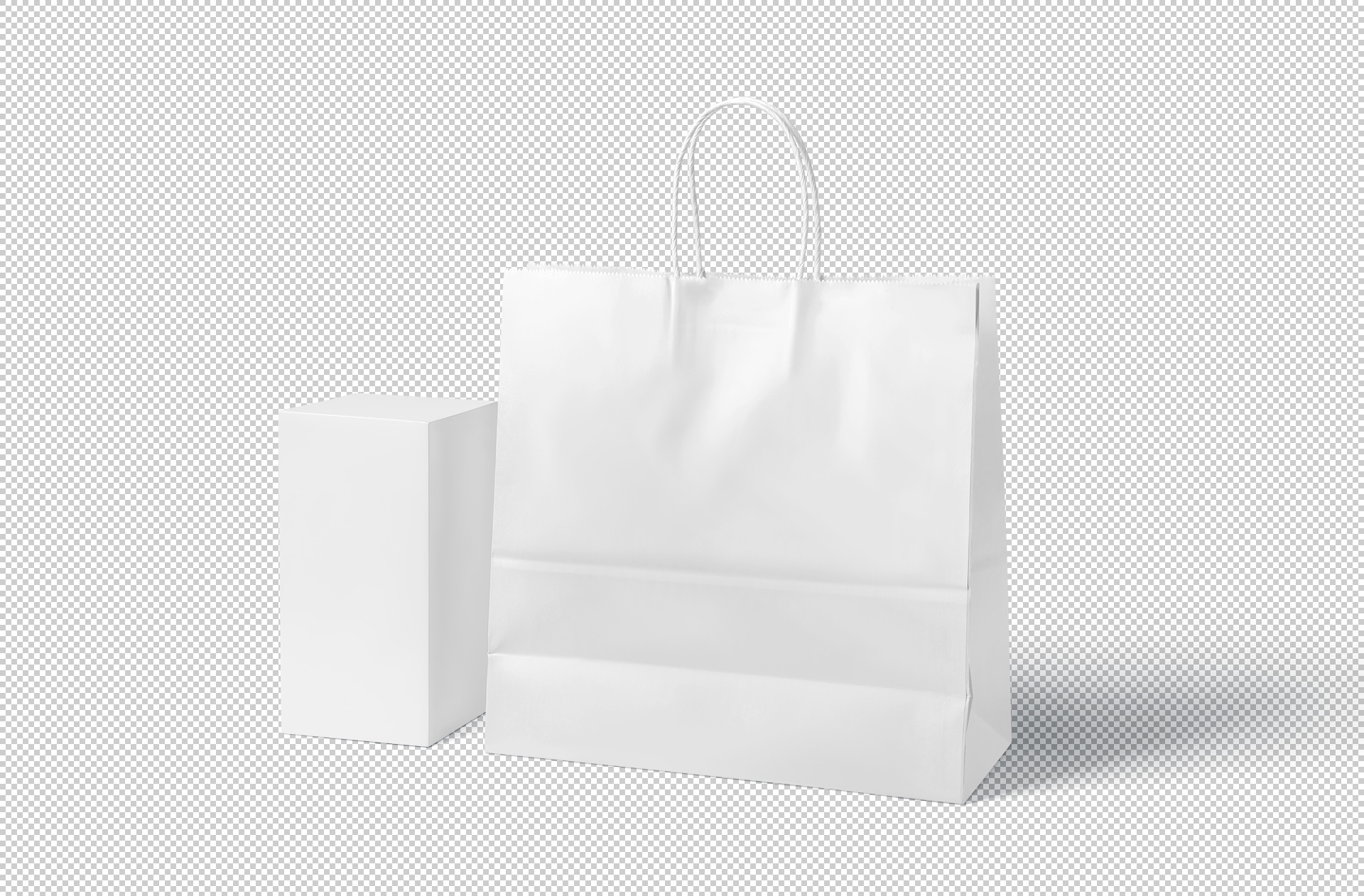 bag branding template