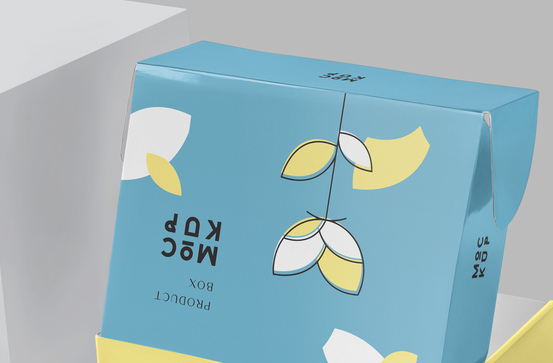 carton box mock-up