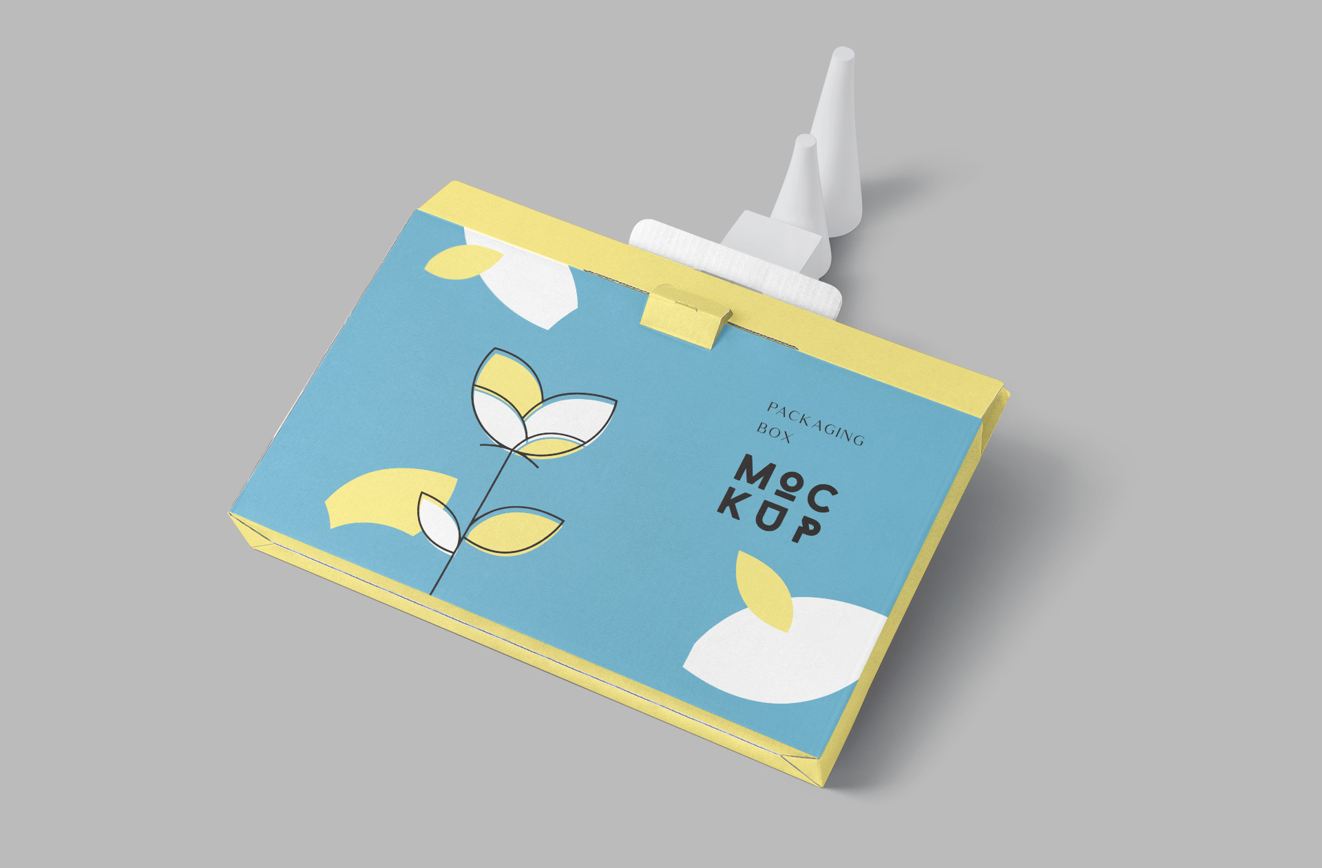 Realistic Packaging Box Mockup with Customizable Features