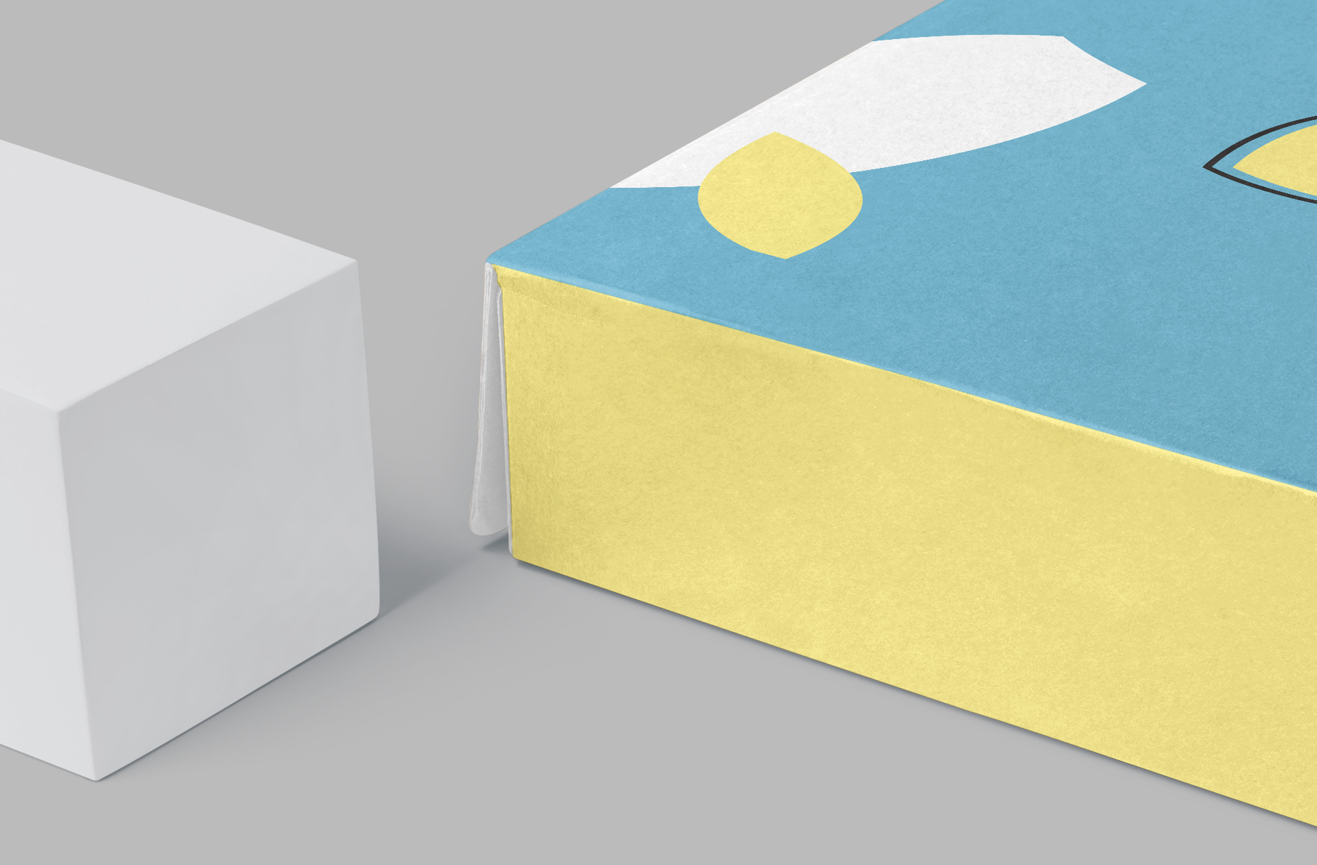 cardboard box mockup