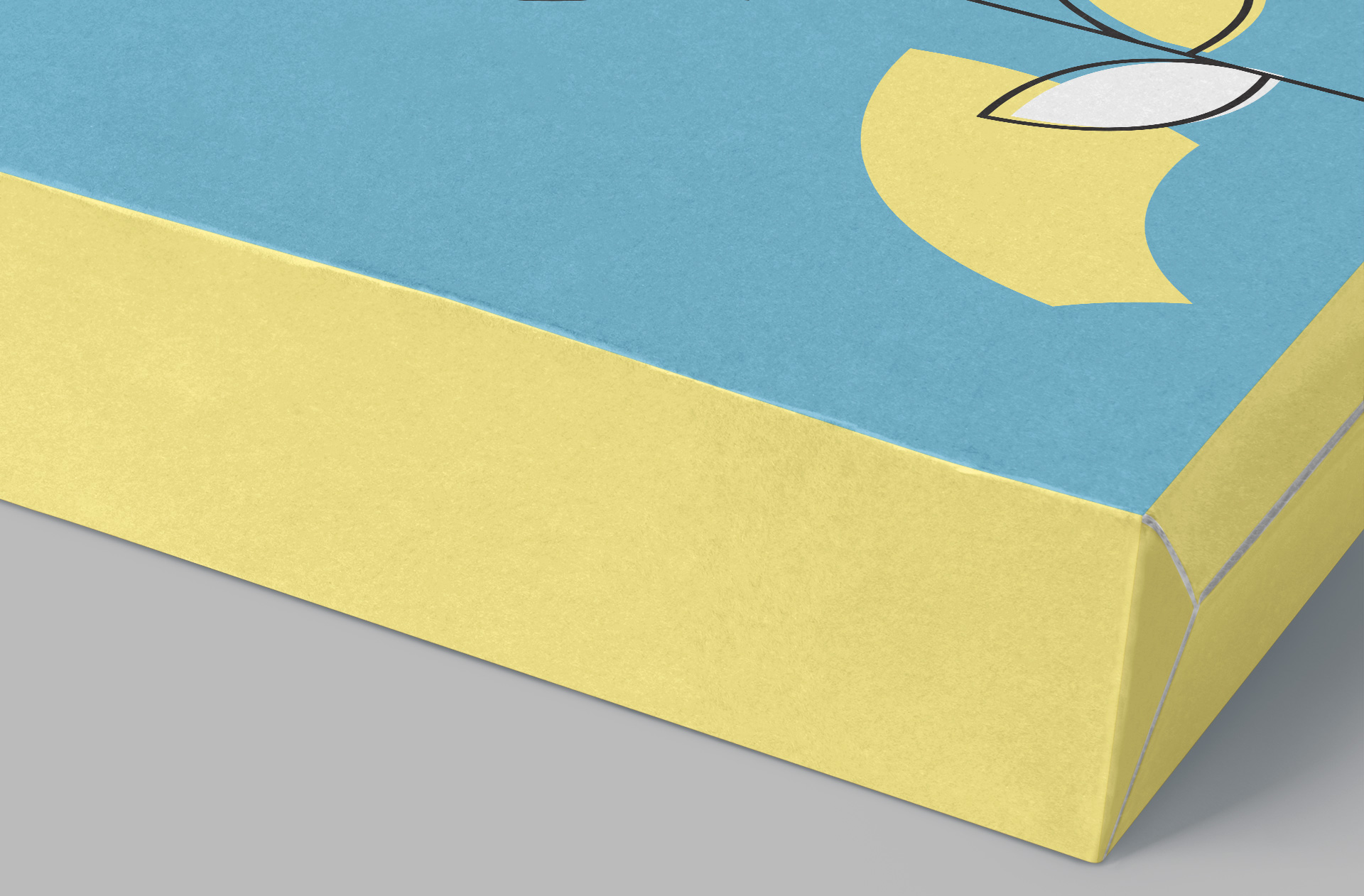 cardboard box mockup