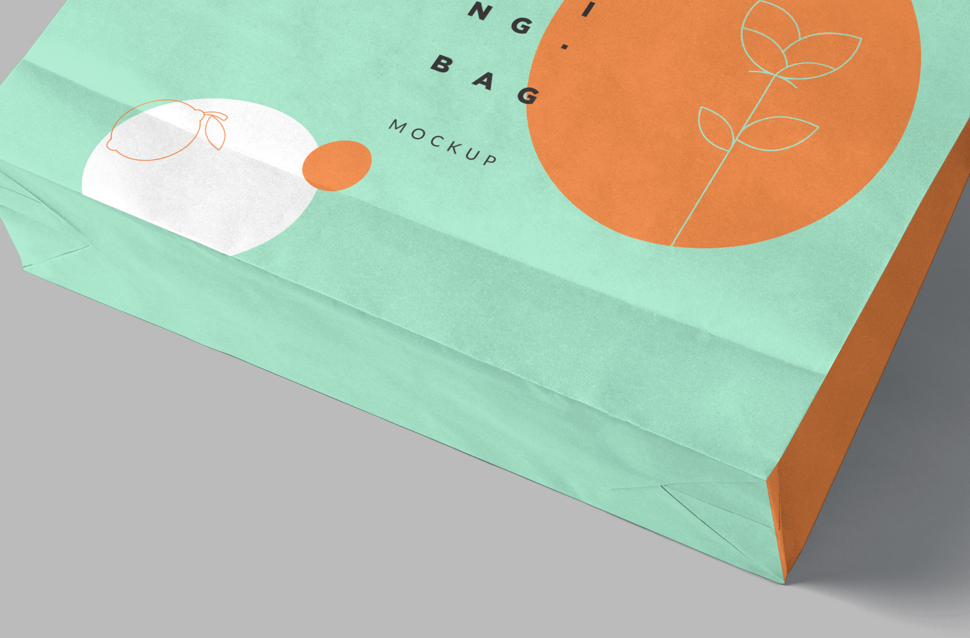 branding bag template