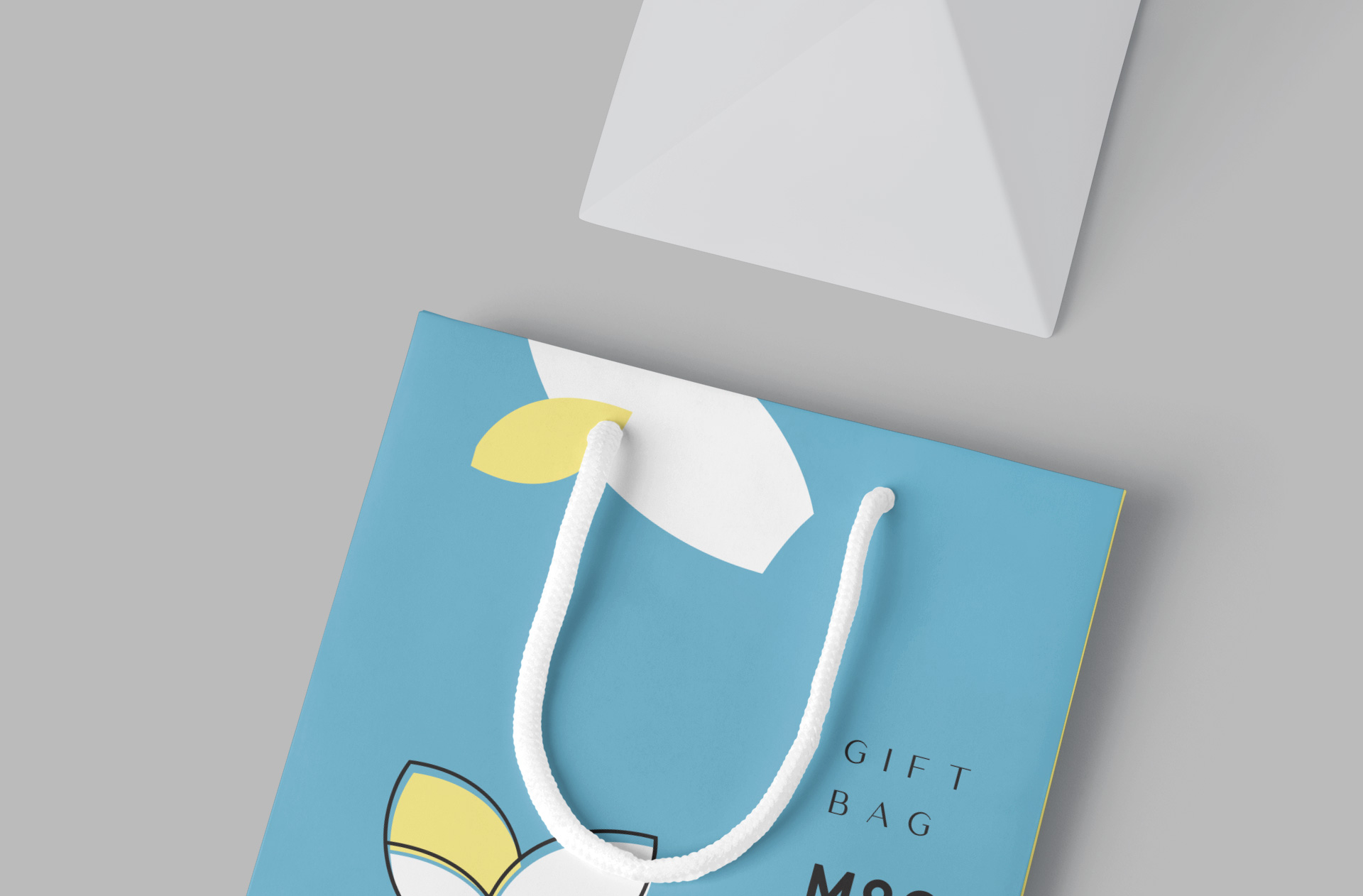 corporate gift bag