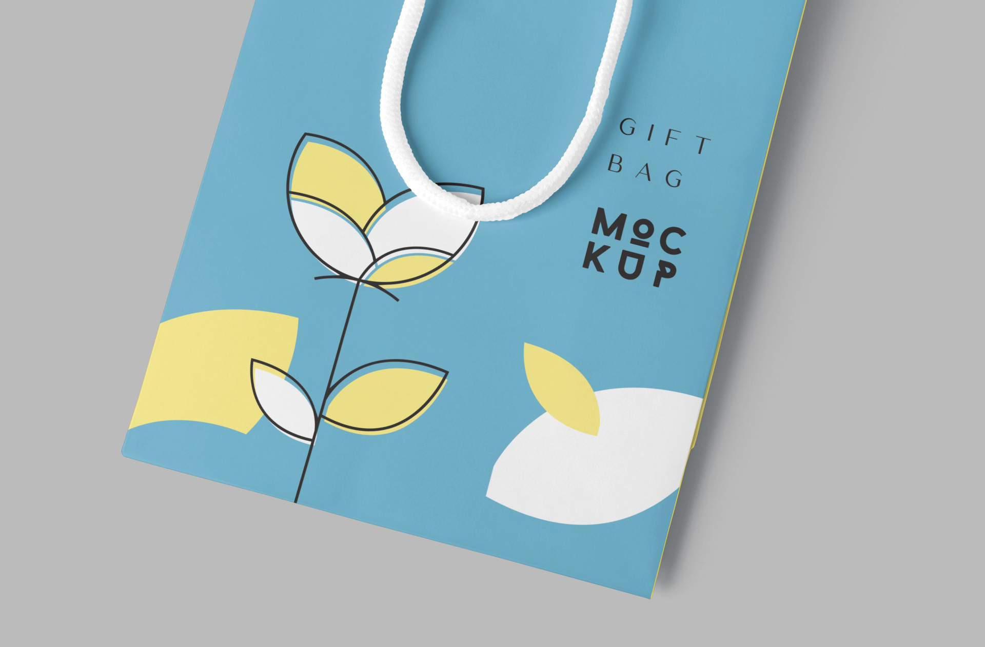 corporate gift bag