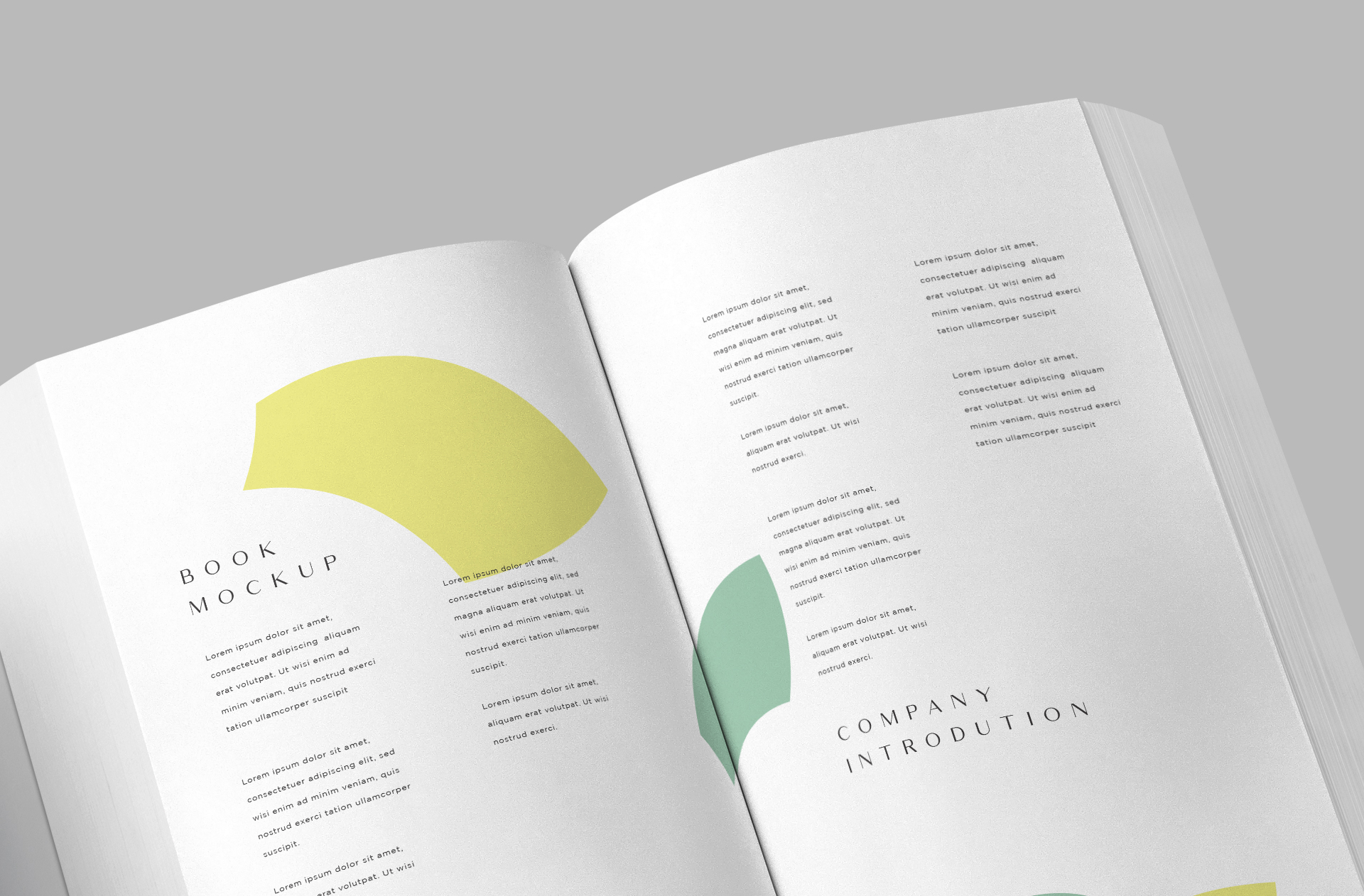 advertising book mockup