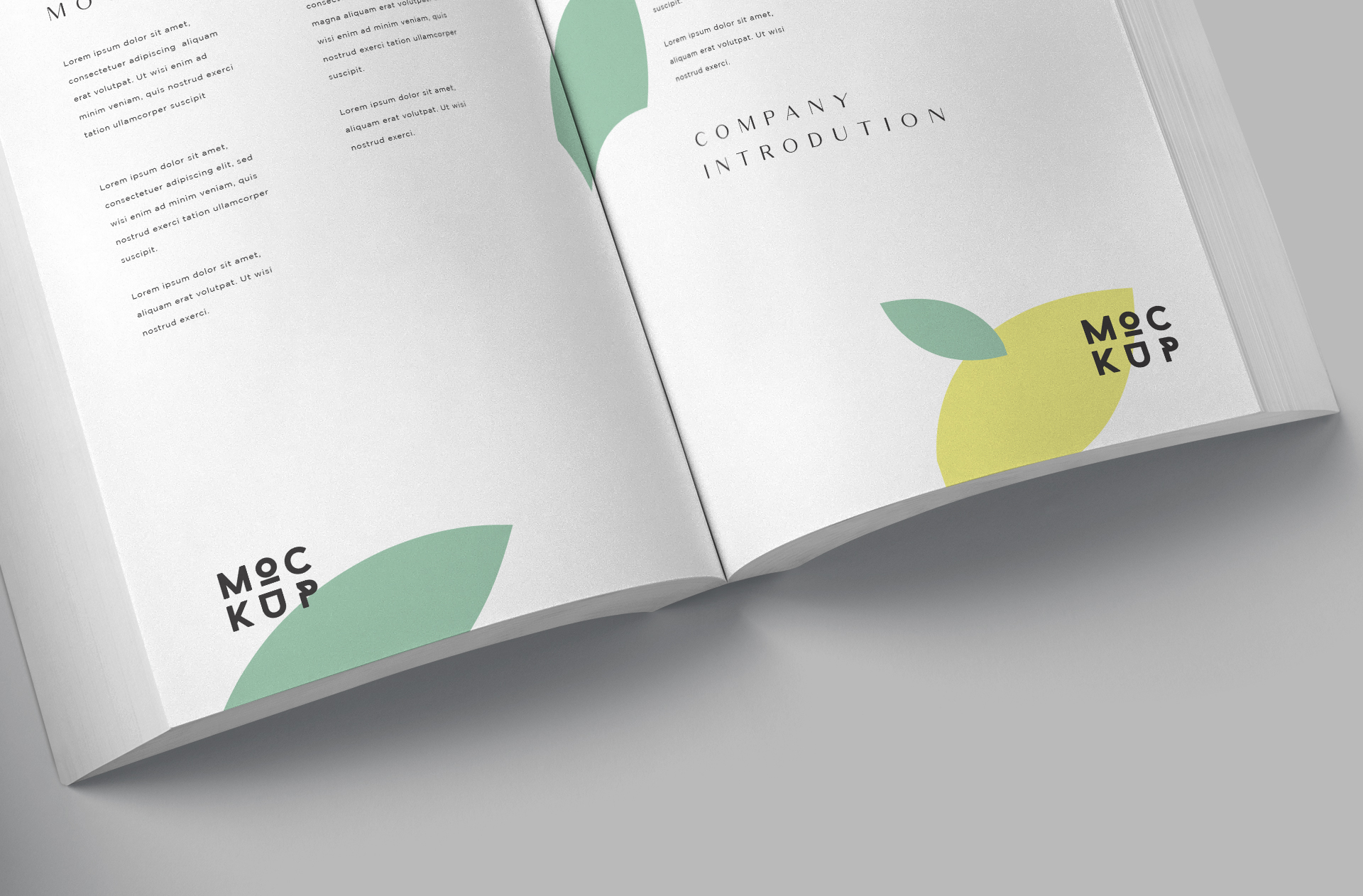 advertising book mockup