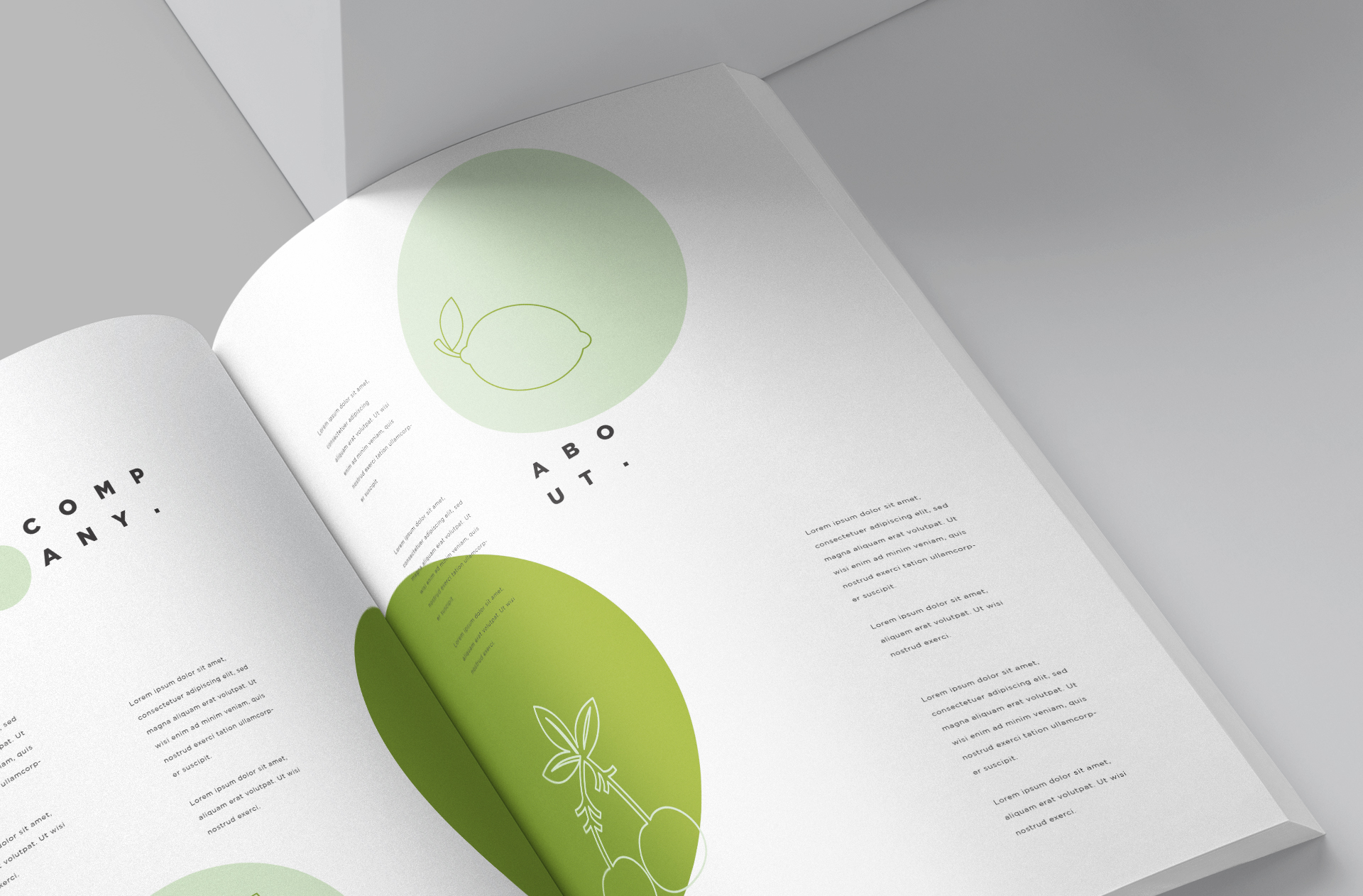 A4 book mockup