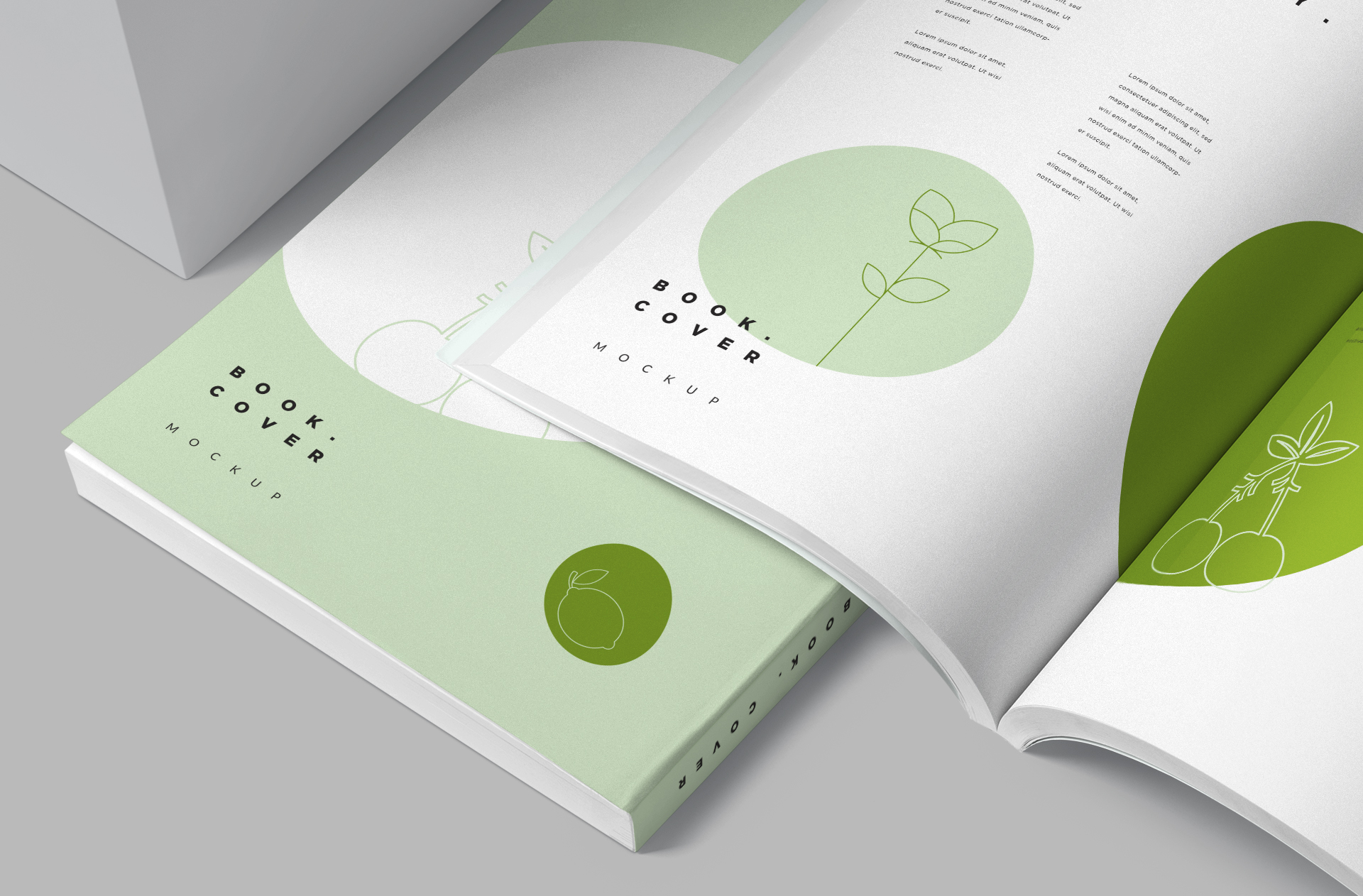 A4 book mockup