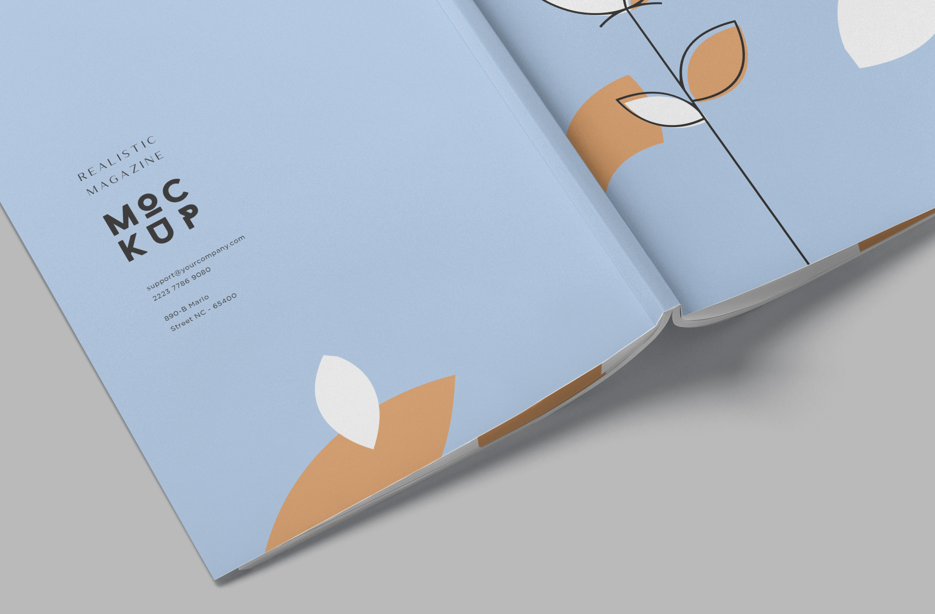 A4 magazine PSD
