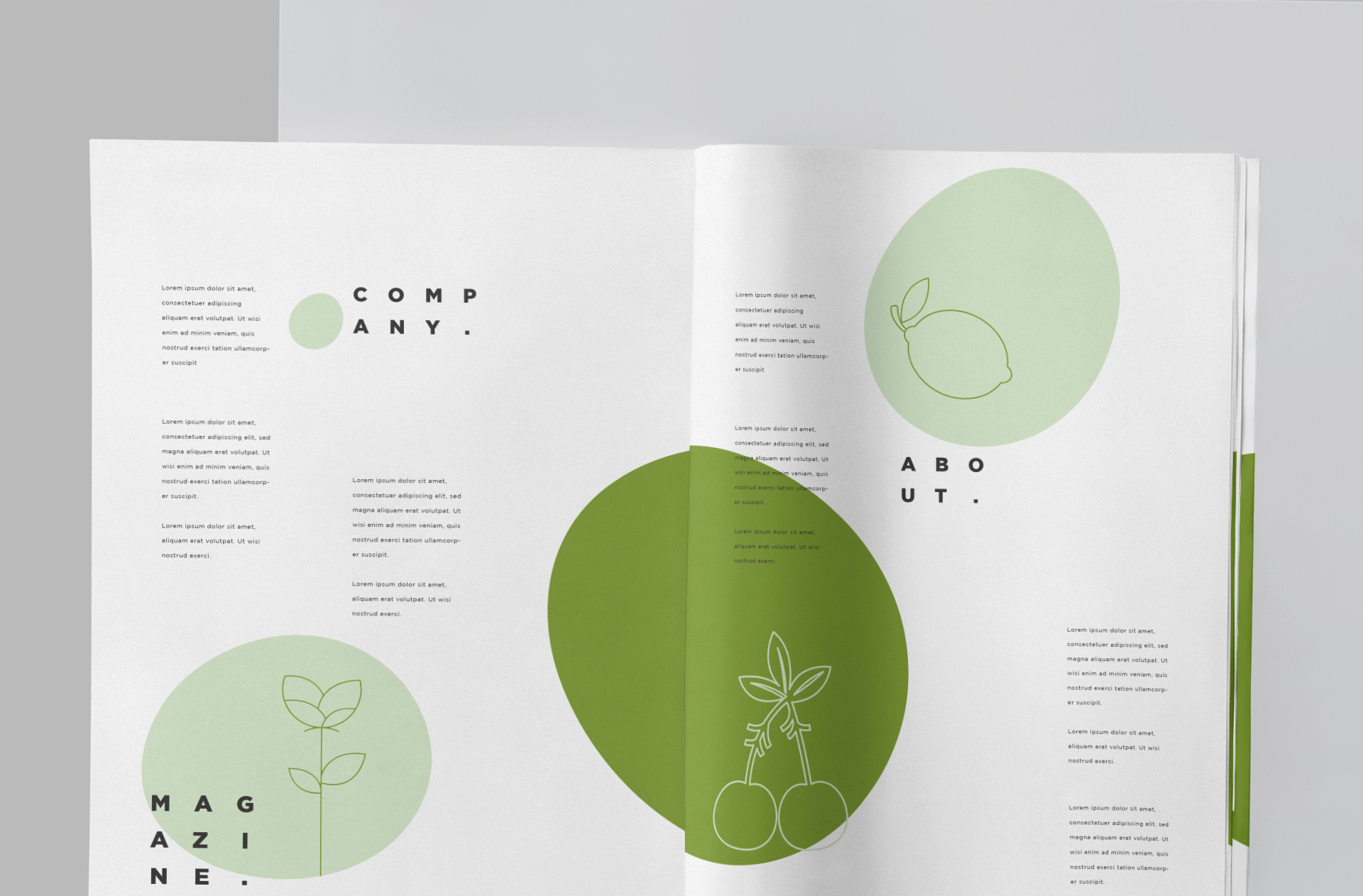 A4 magazine template
