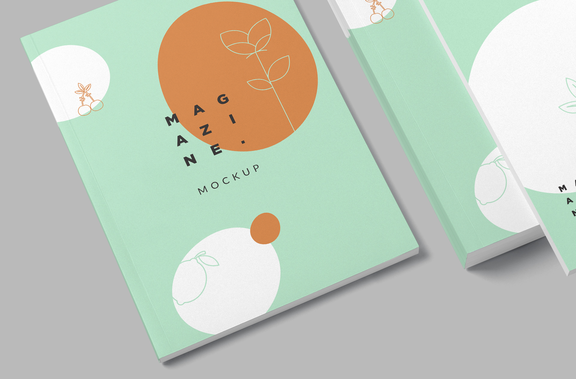 A4 magazine PSD