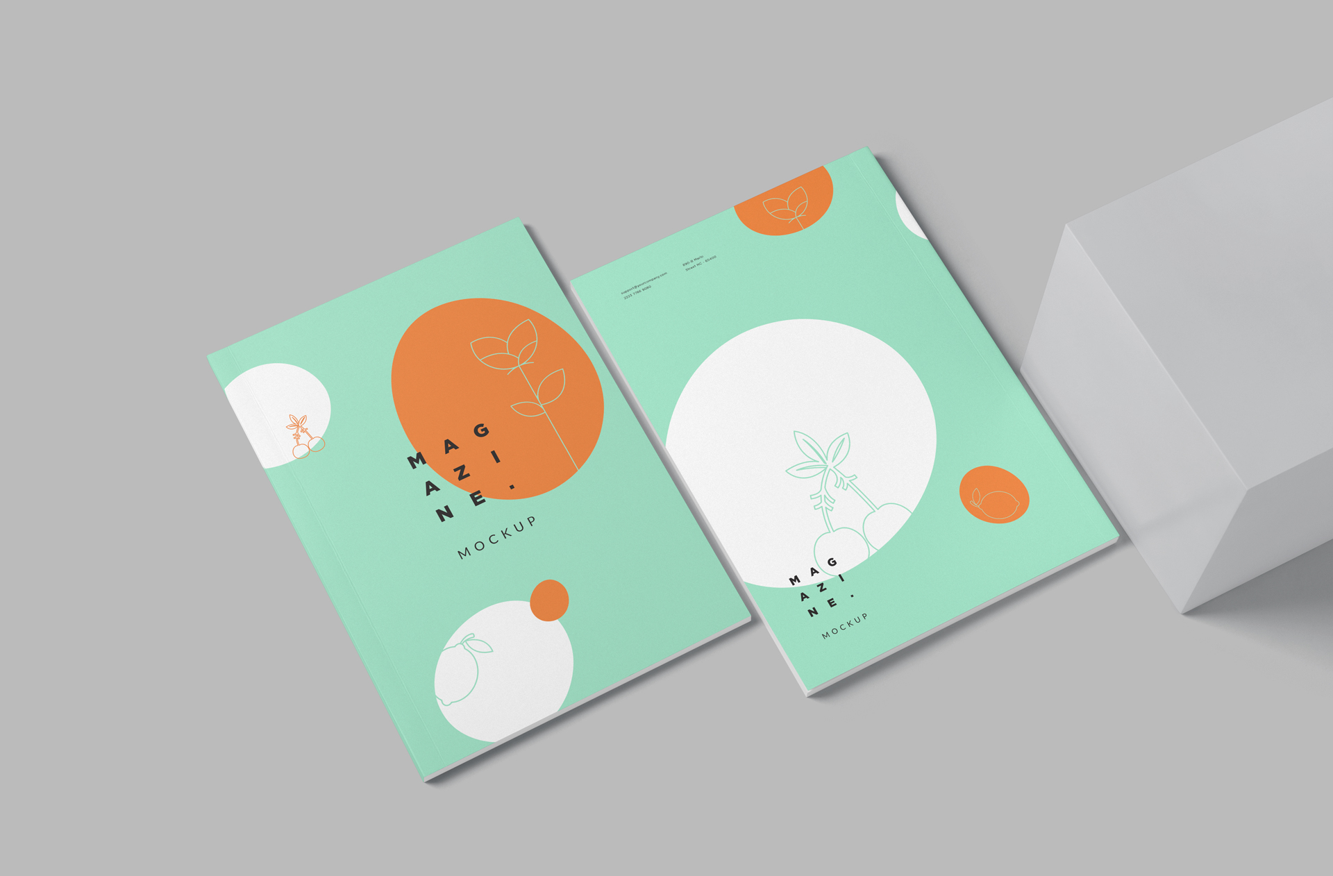 Minimalist Magazine Mockup – Flat & Standing Views