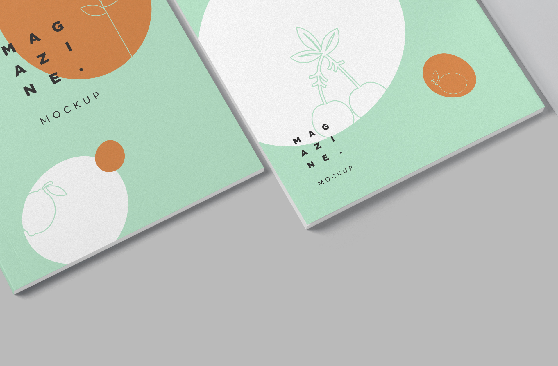 advertising magazine PSD