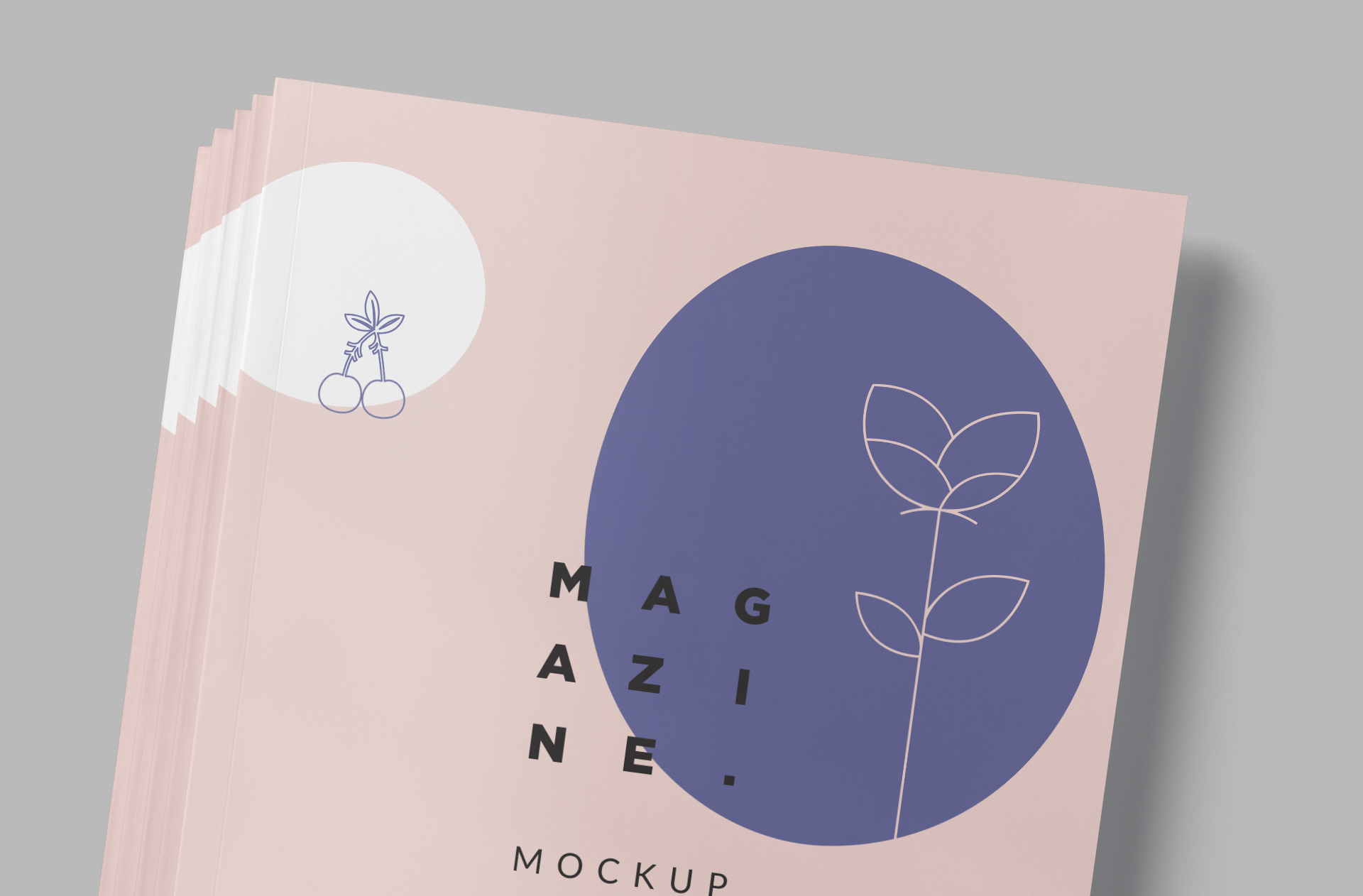 A4 magazine