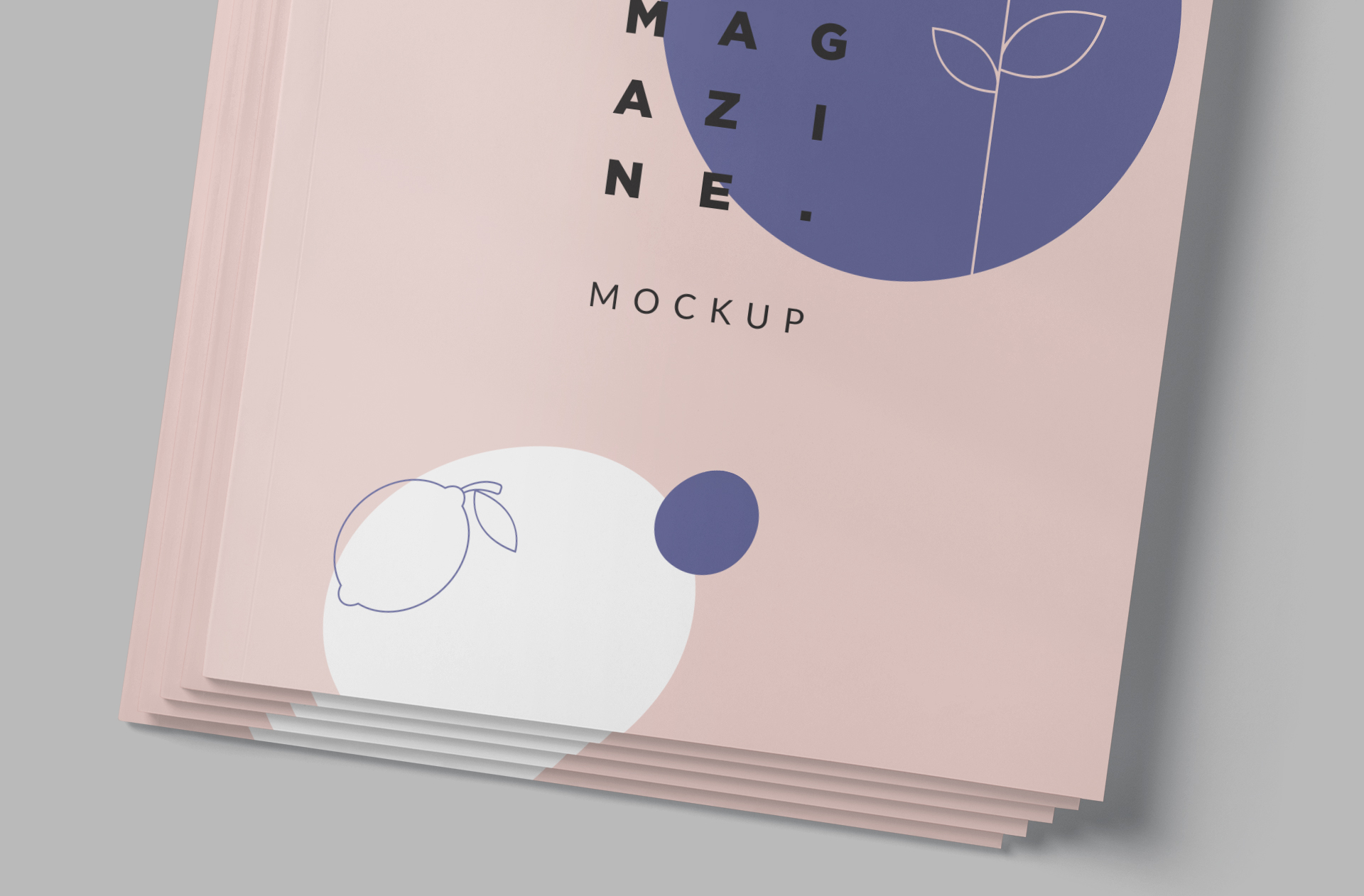 A4 magazine