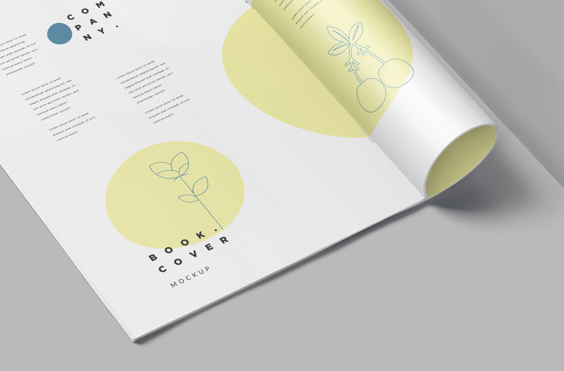 A4 magazine