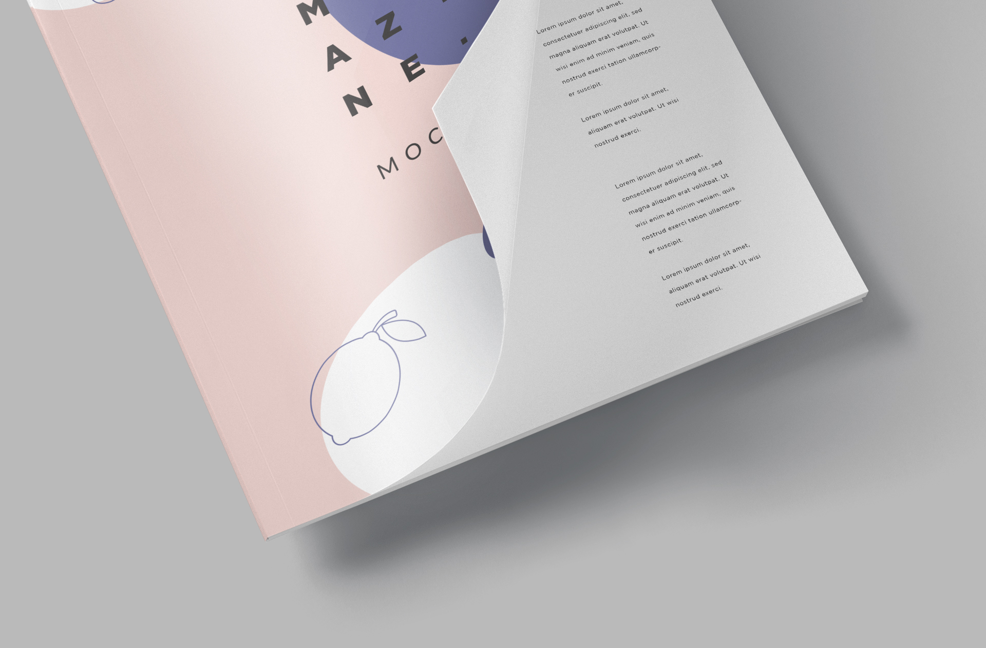 A4 magazine