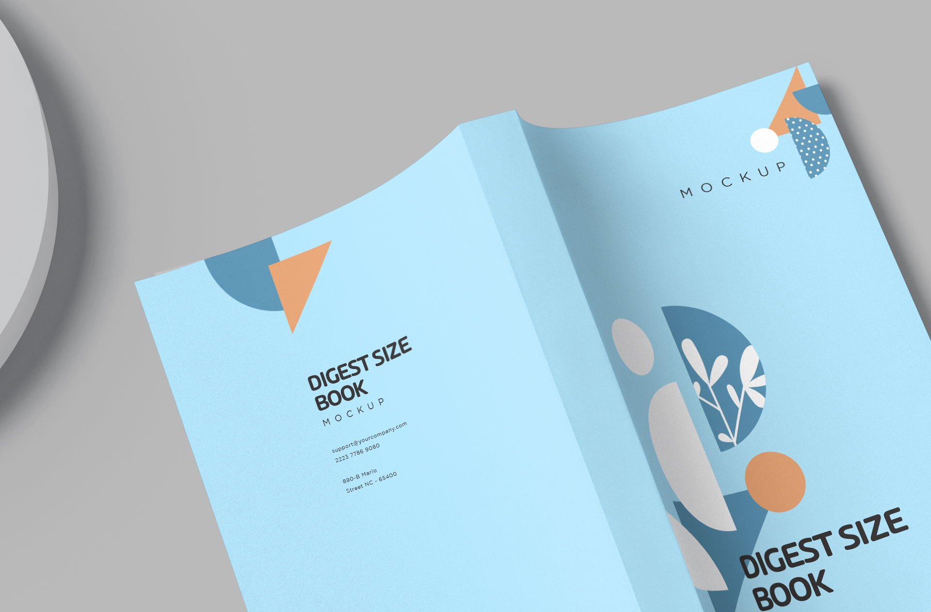 book cover mockup