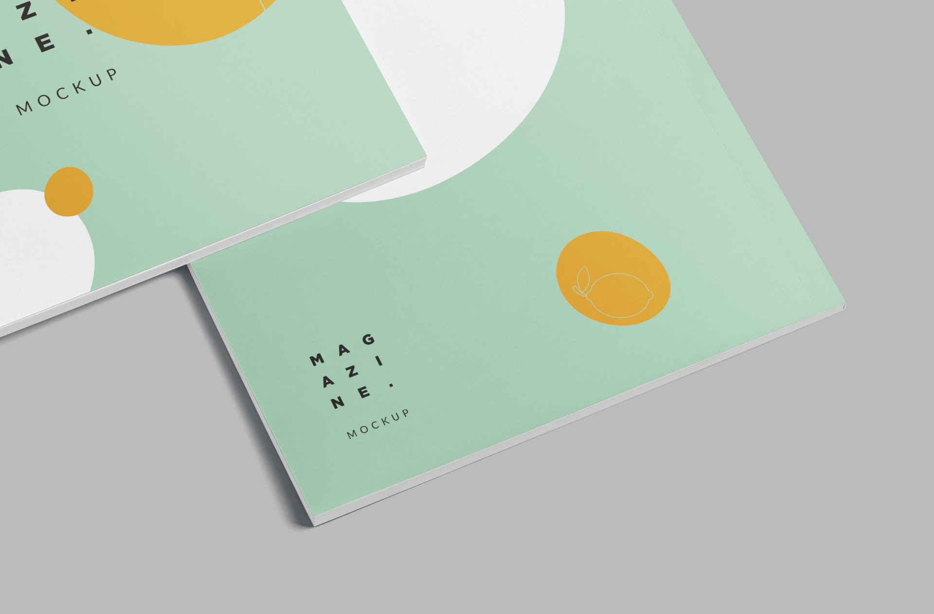 booklet mockup