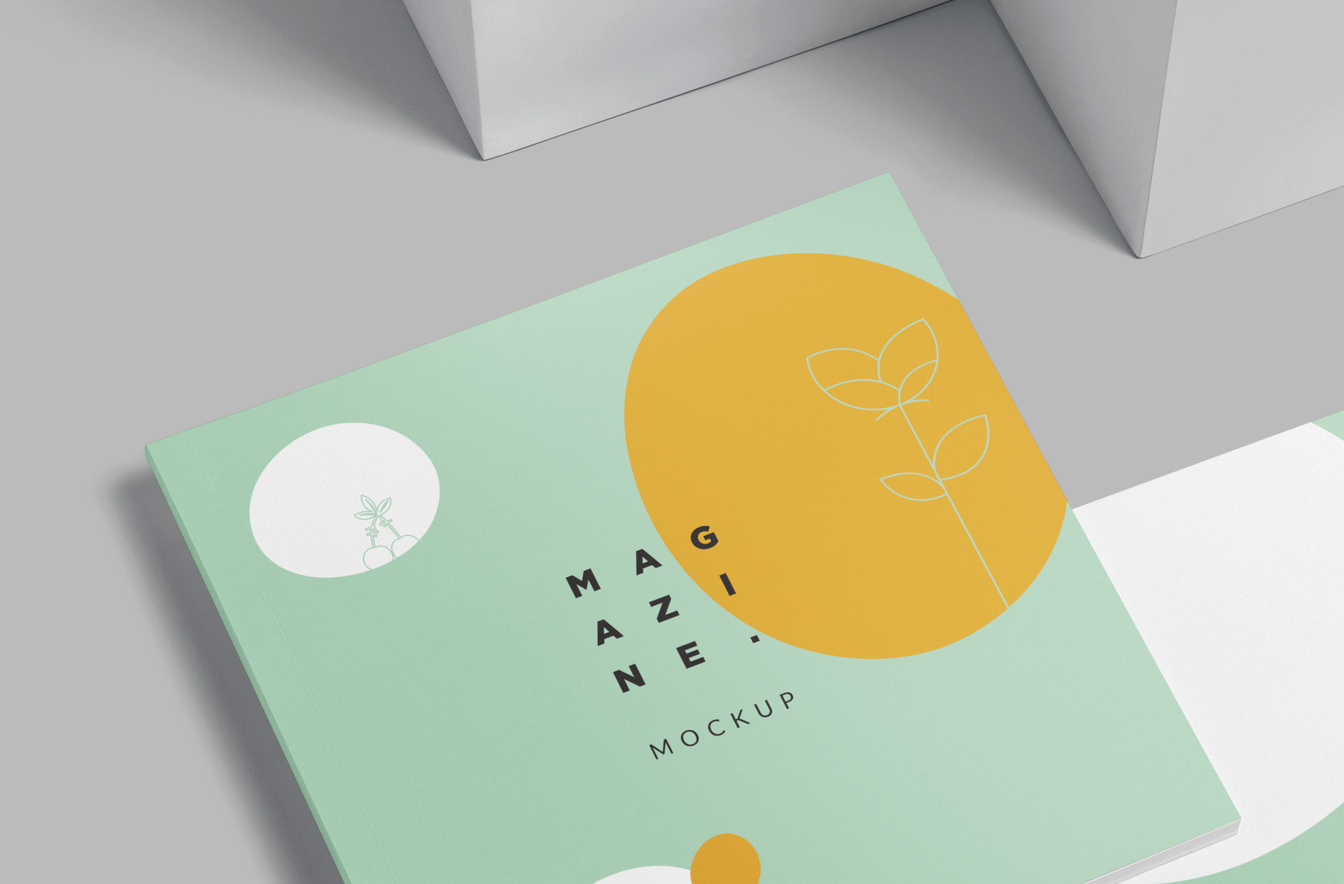 booklet mockup