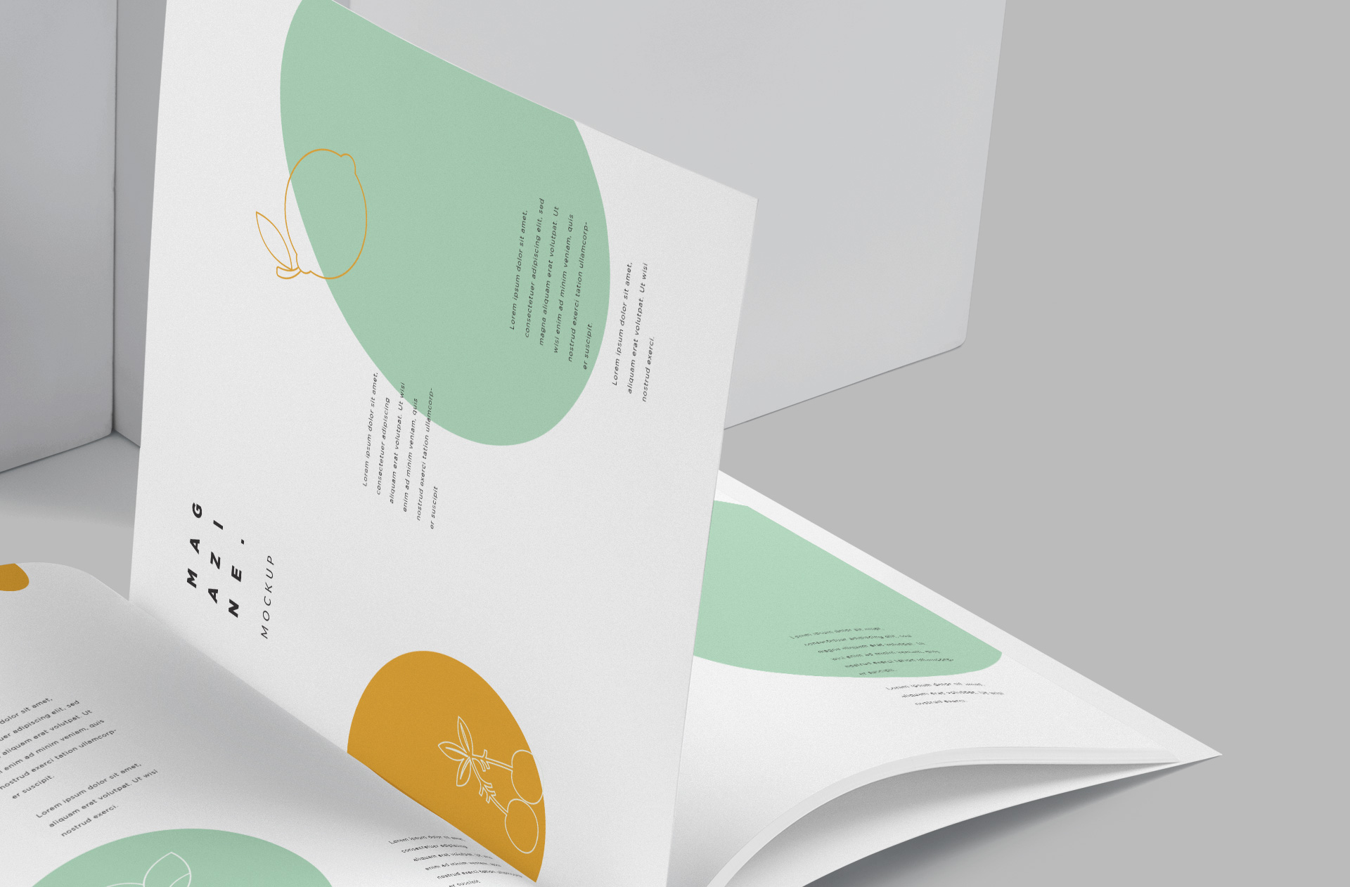 design presentation mockup