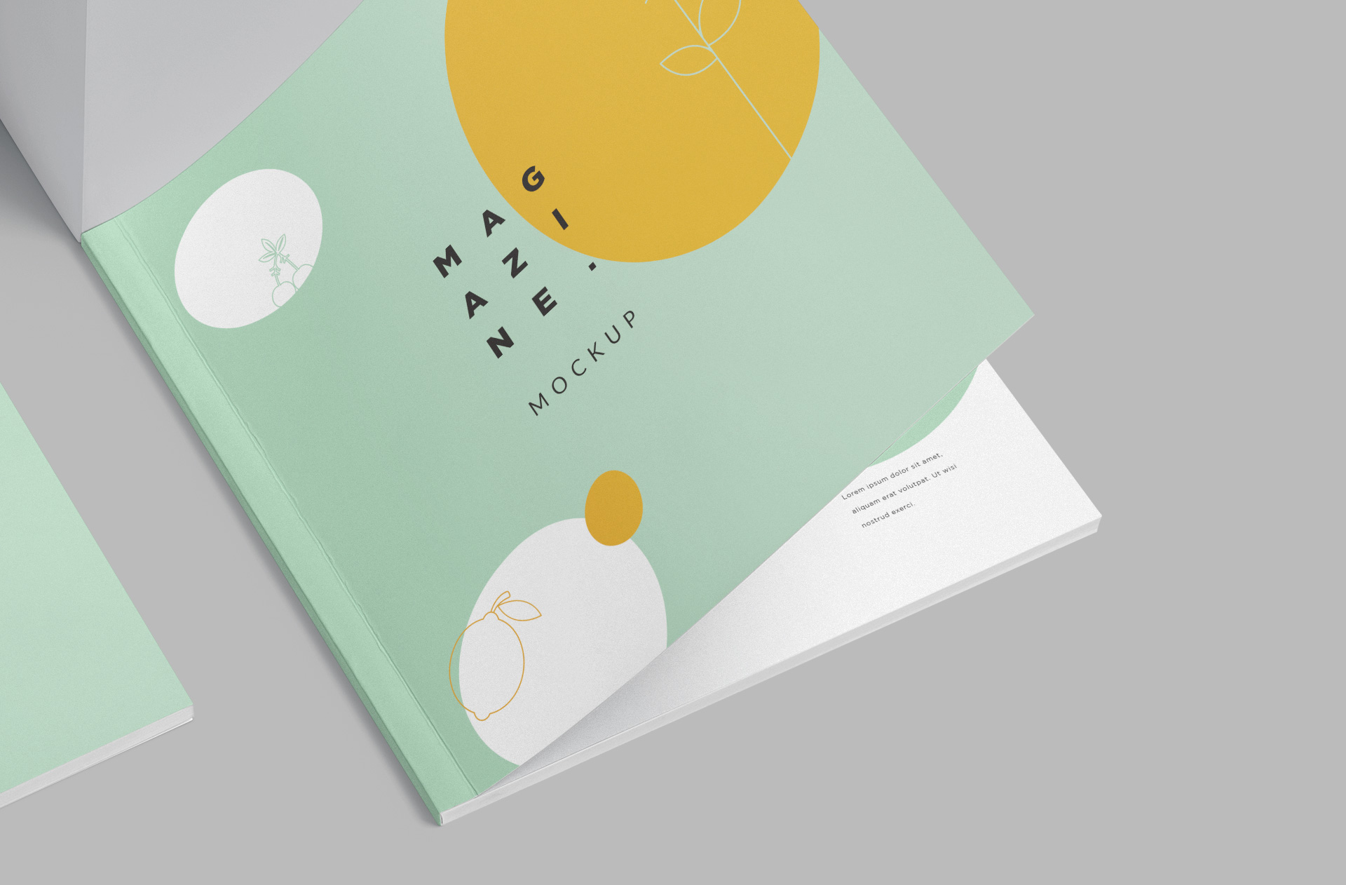 branding mockup