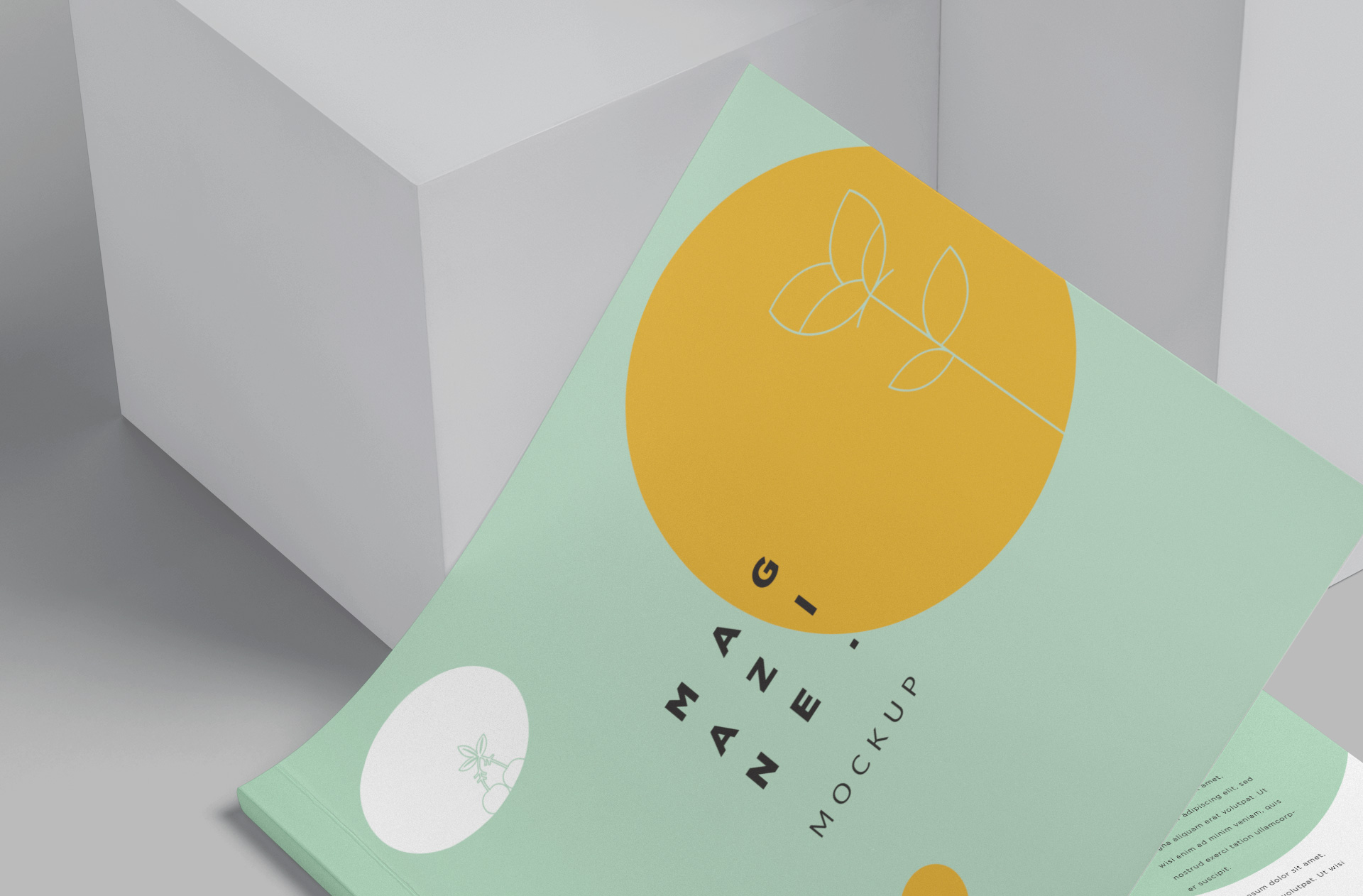 branding mockup