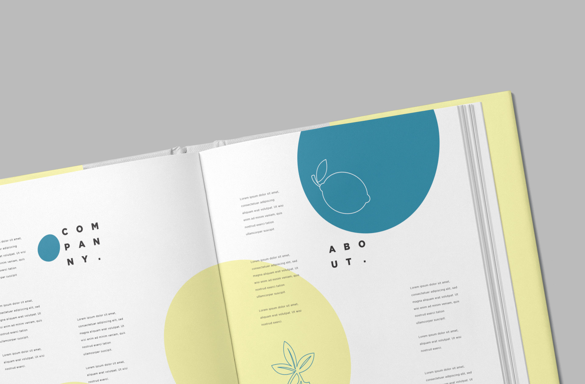 book branding