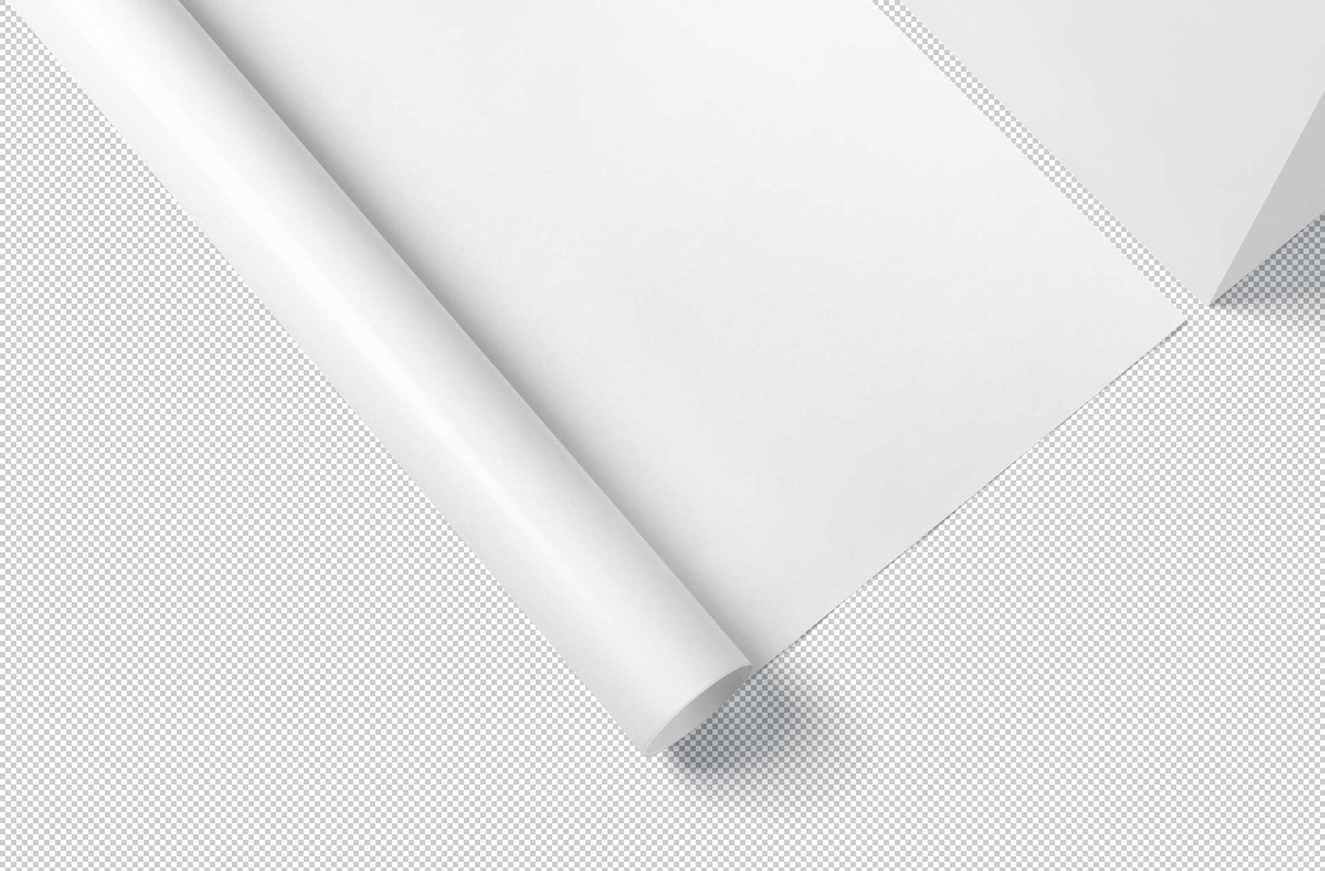 branding packaging mockup