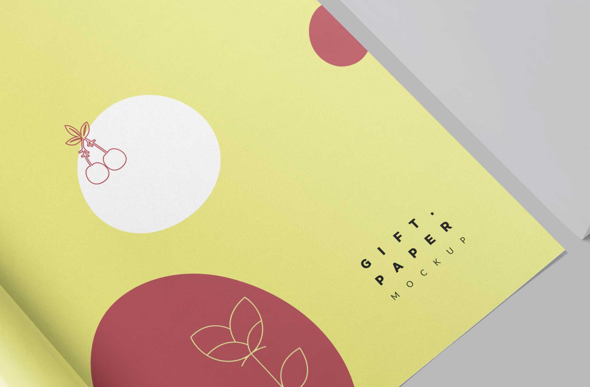 branding packaging mockup