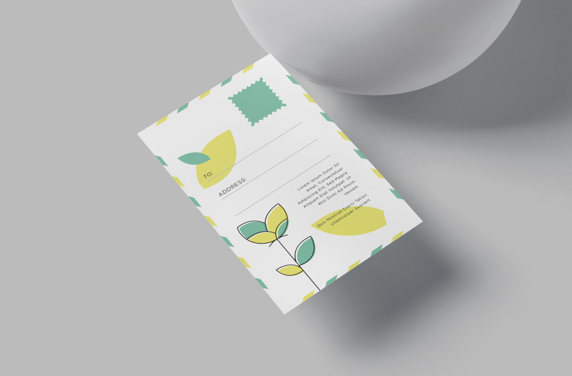 Front & Back Postcard Mockup with Realistic View