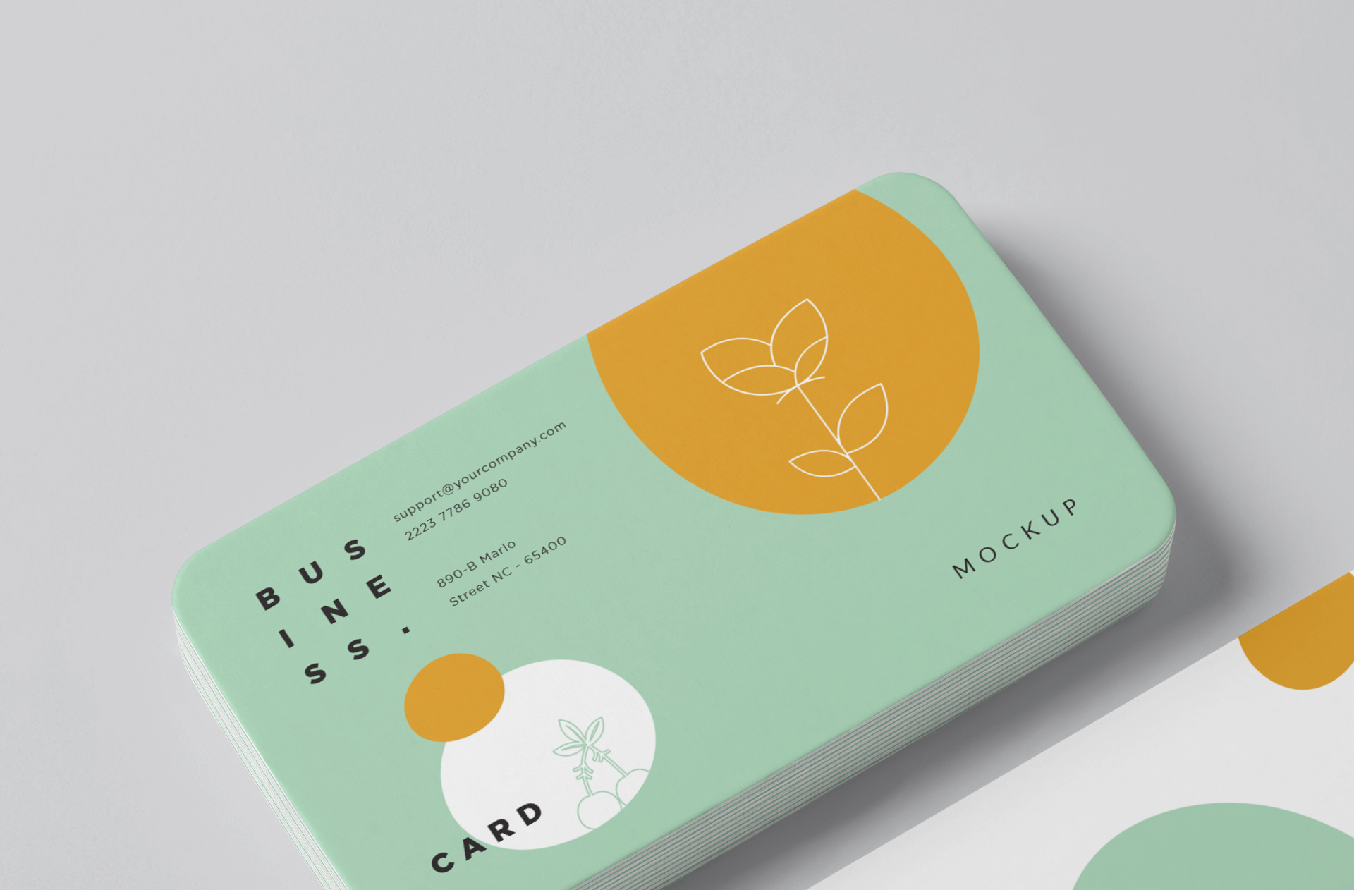 branding identity layout