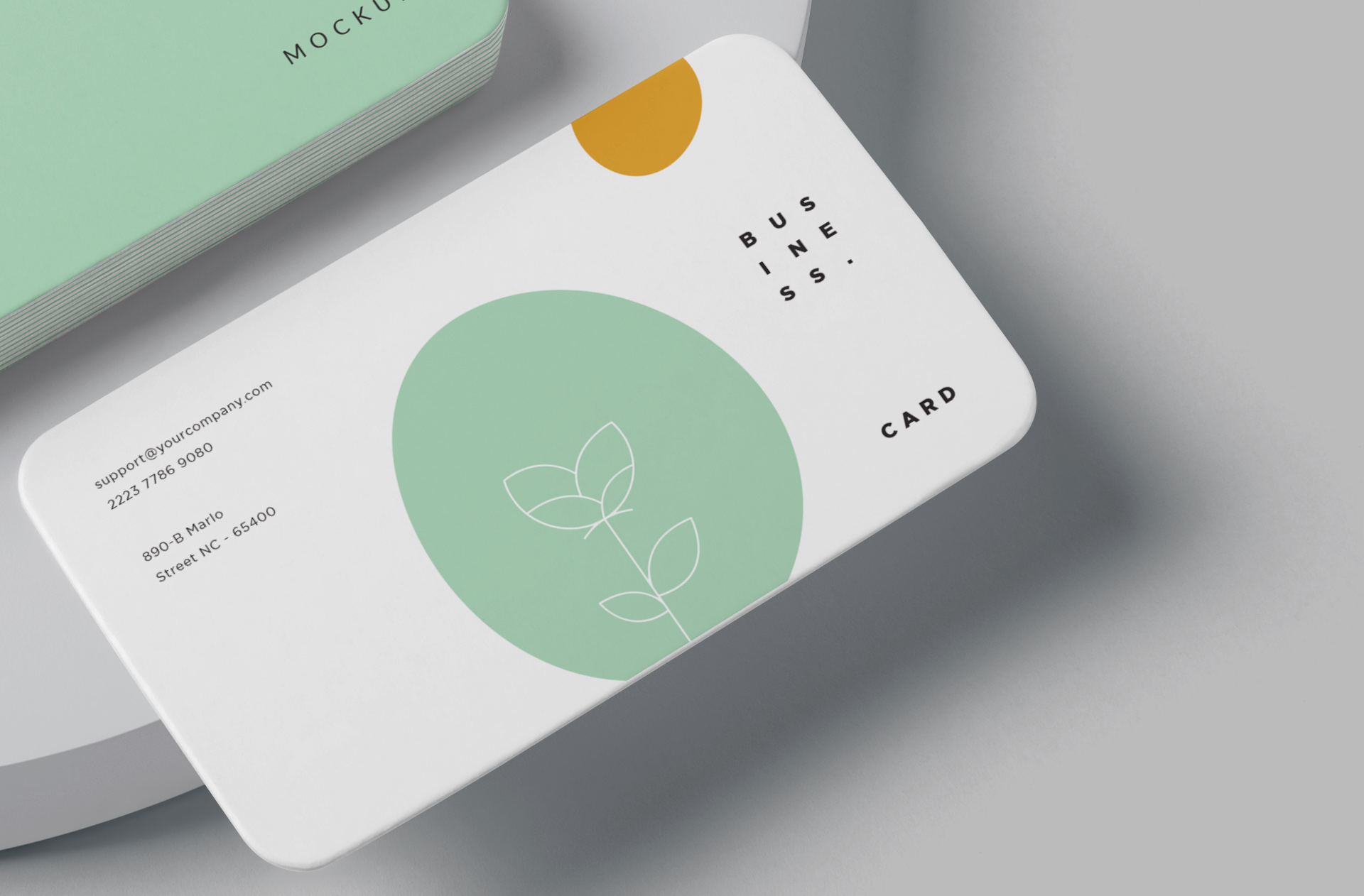 branding identity layout