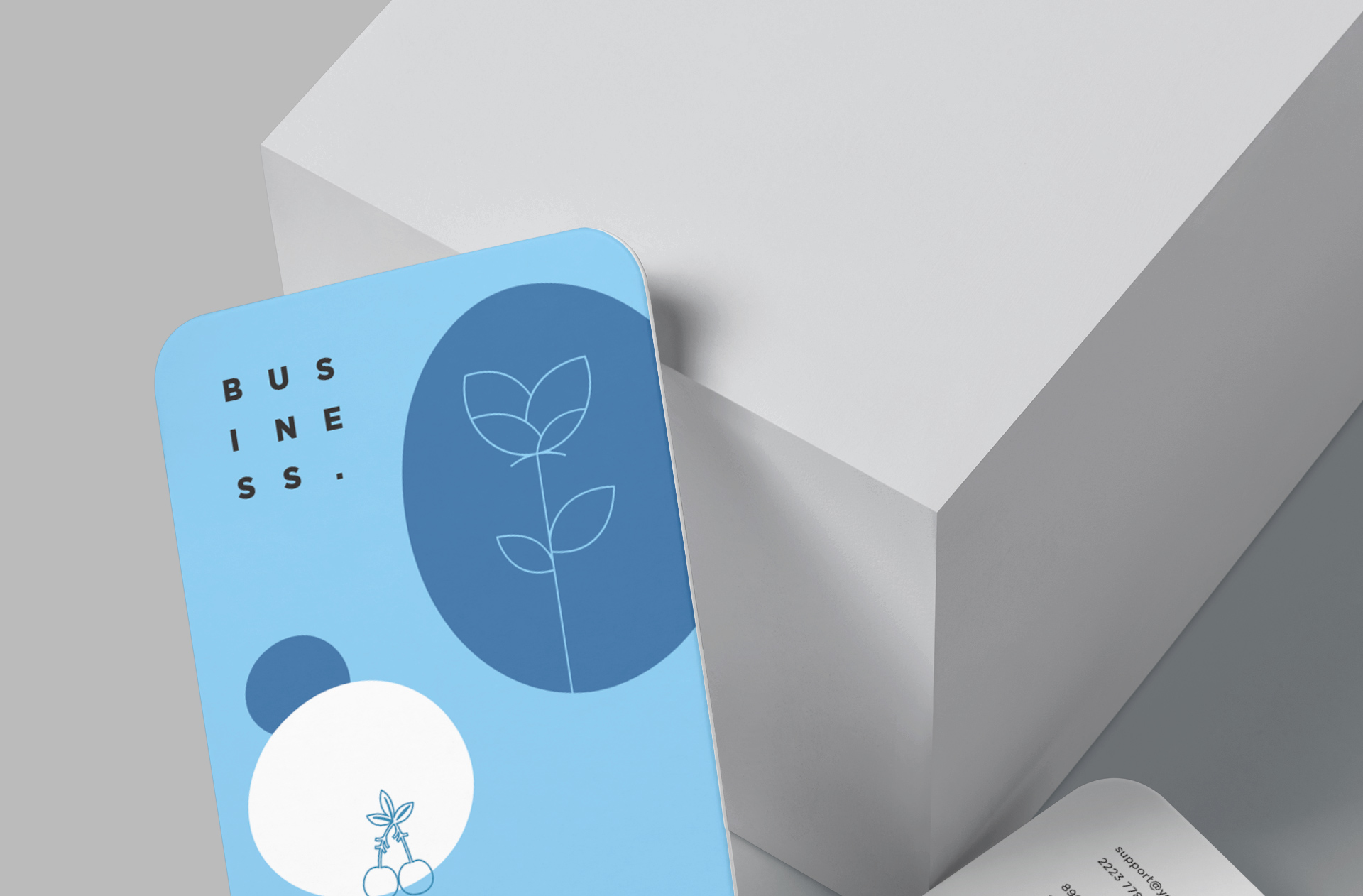 branding business card PSD