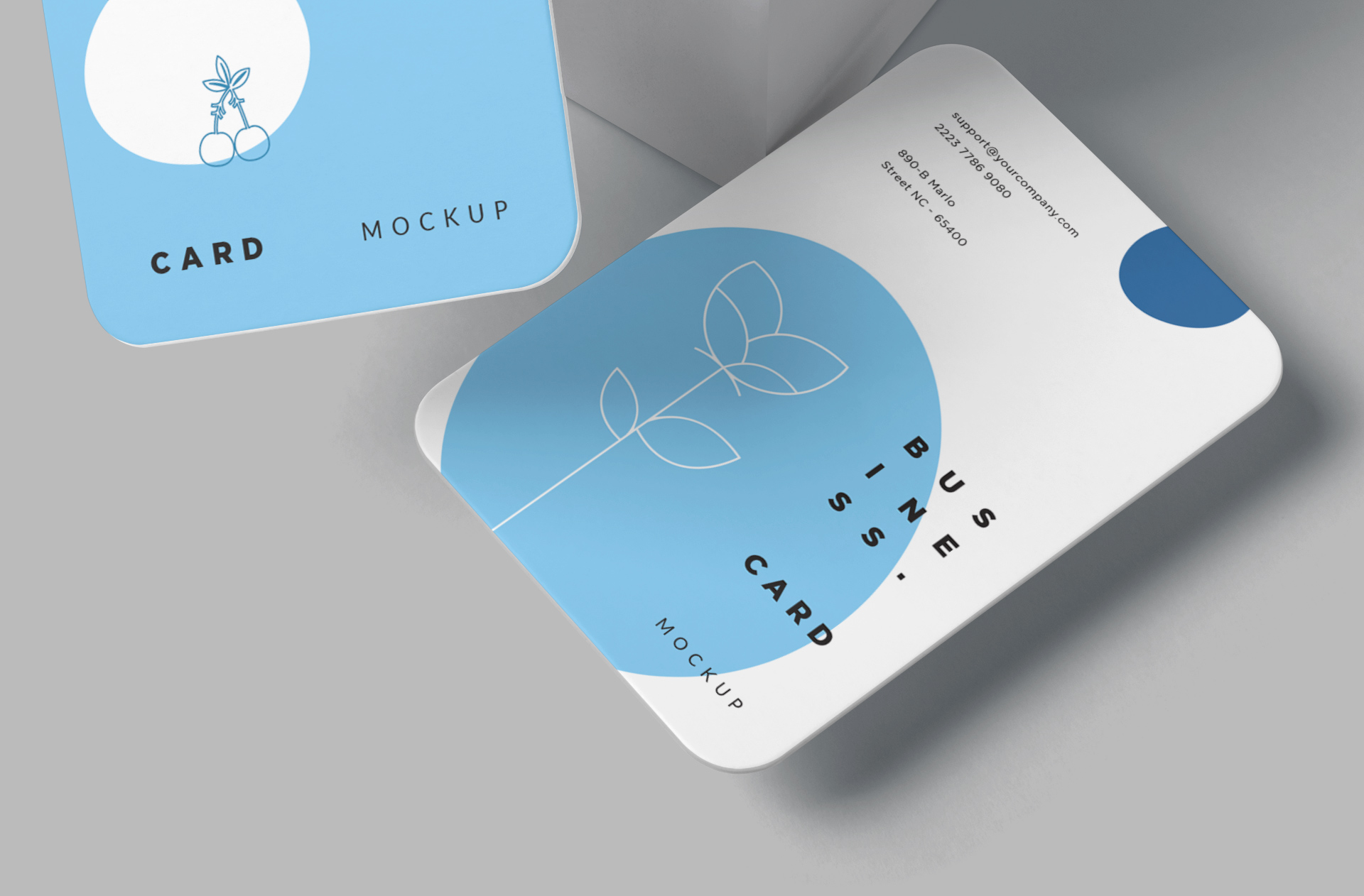 branding business card PSD