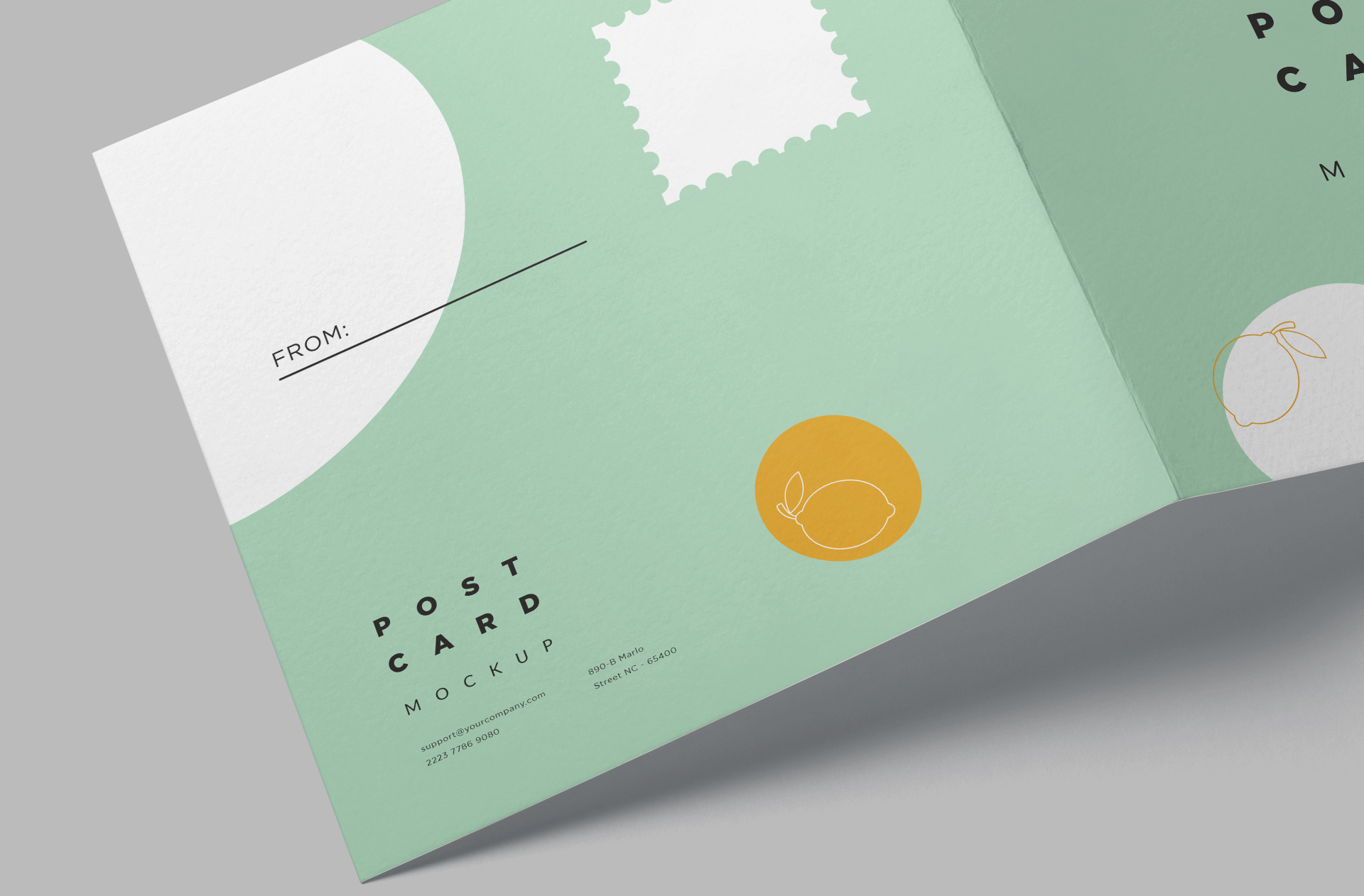 branding identity mockup