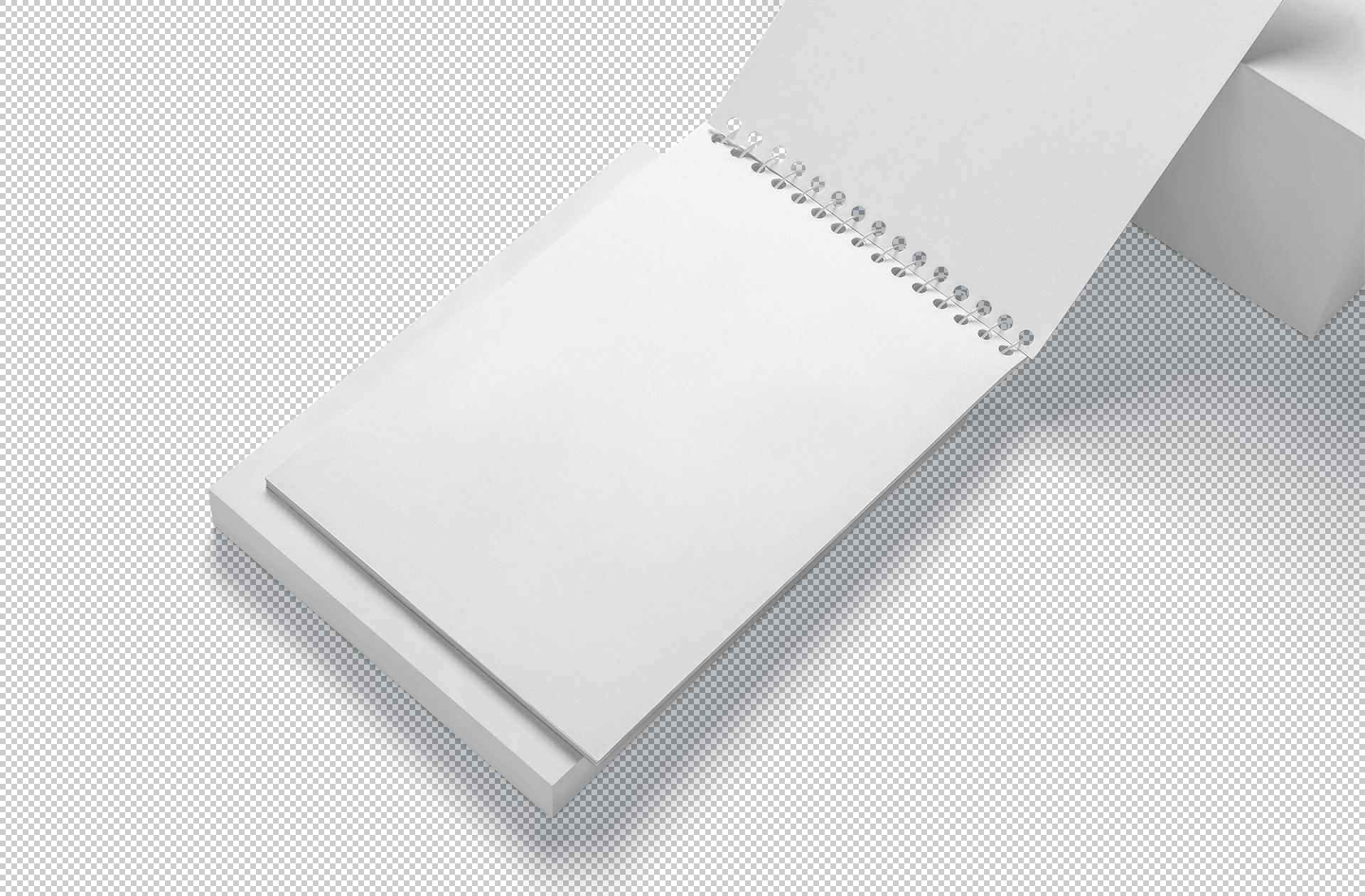 branding workbook mockup