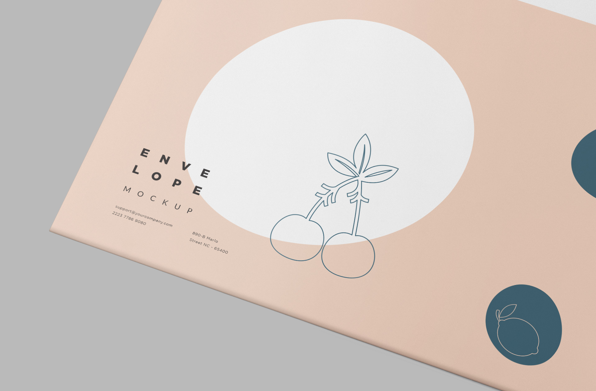 customizable business envelope mockup