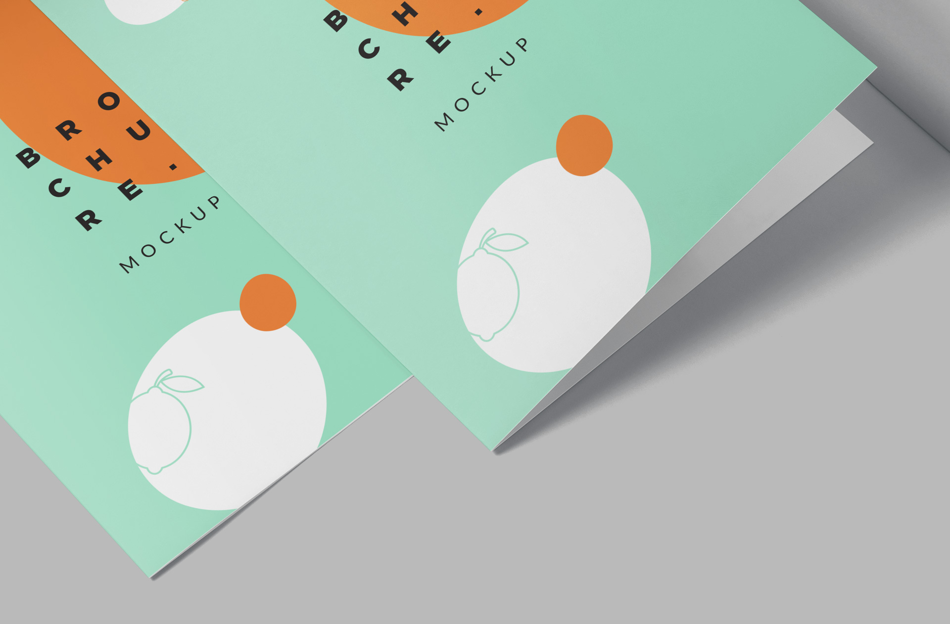A4 bi-fold brochure