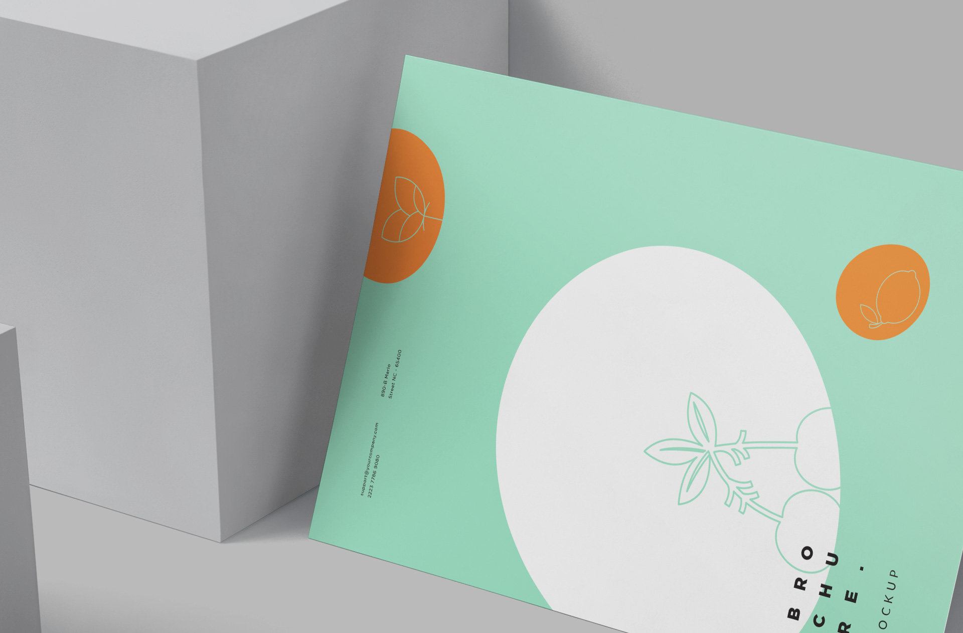 A4 professional brochure
