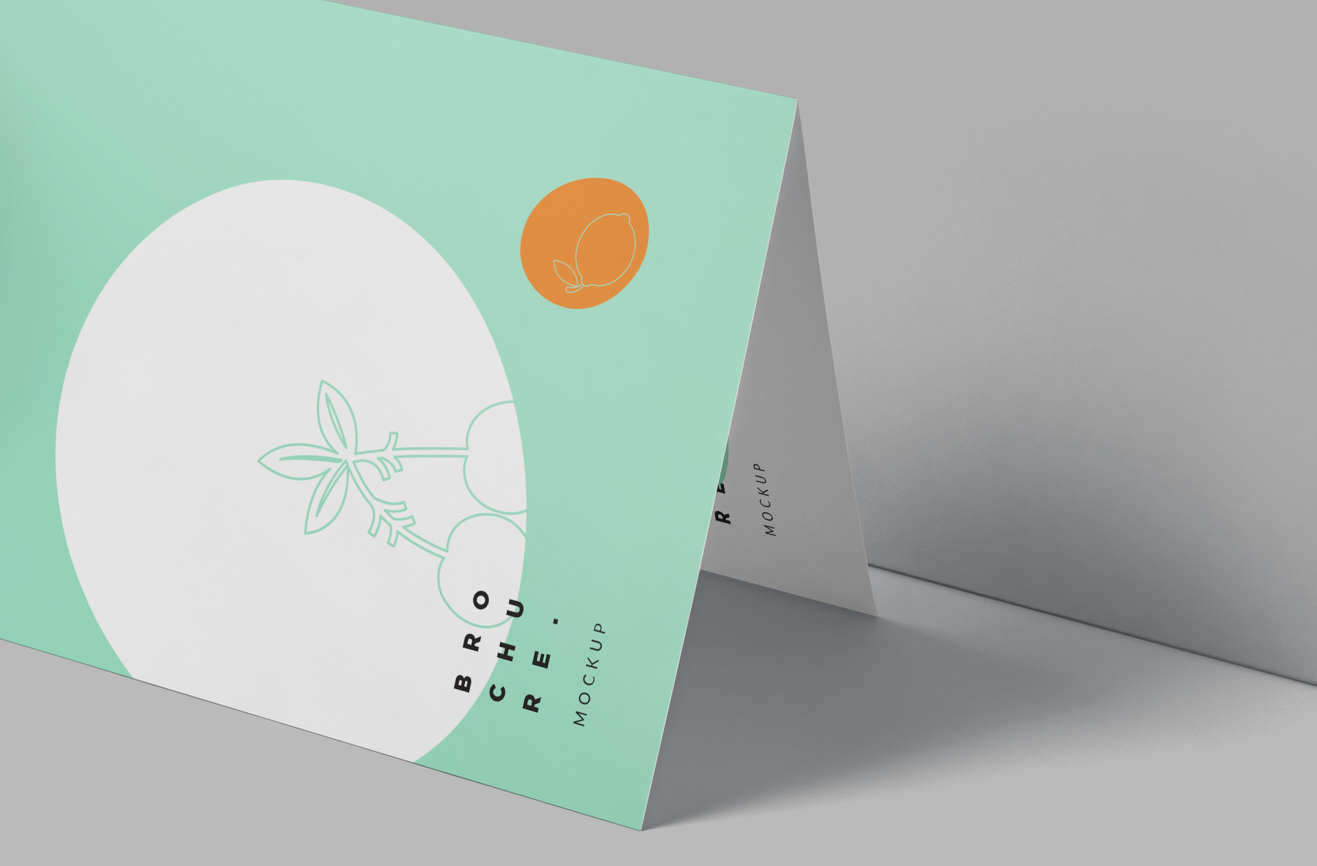 A4 professional brochure
