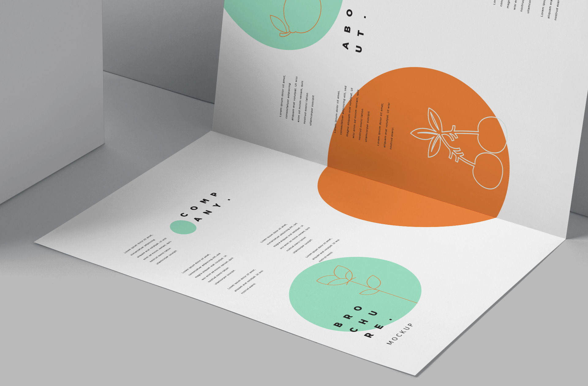A4 business brochure