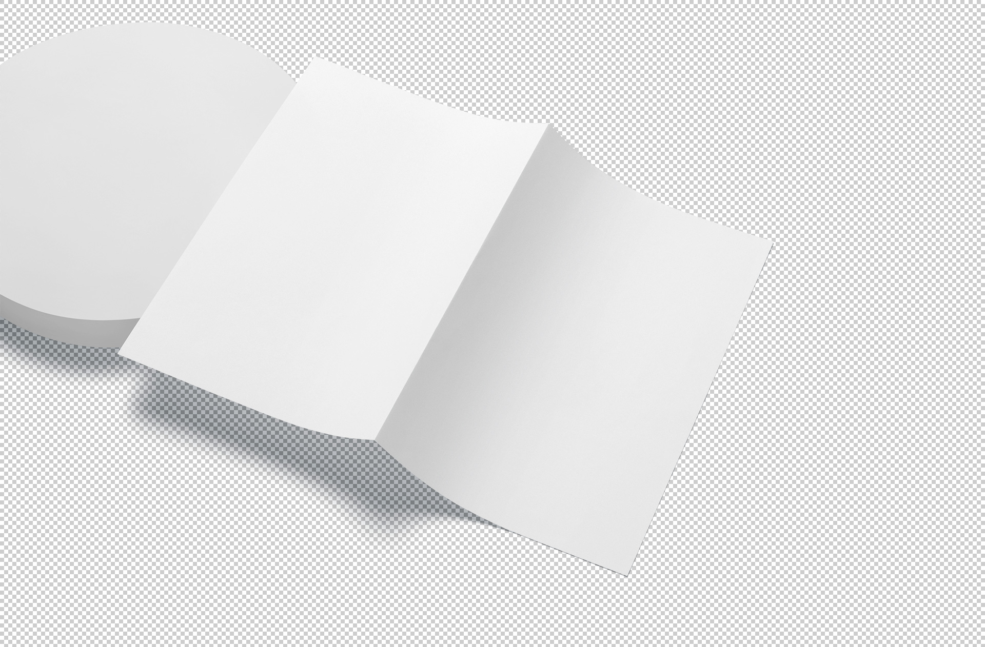 A4 professional brochure
